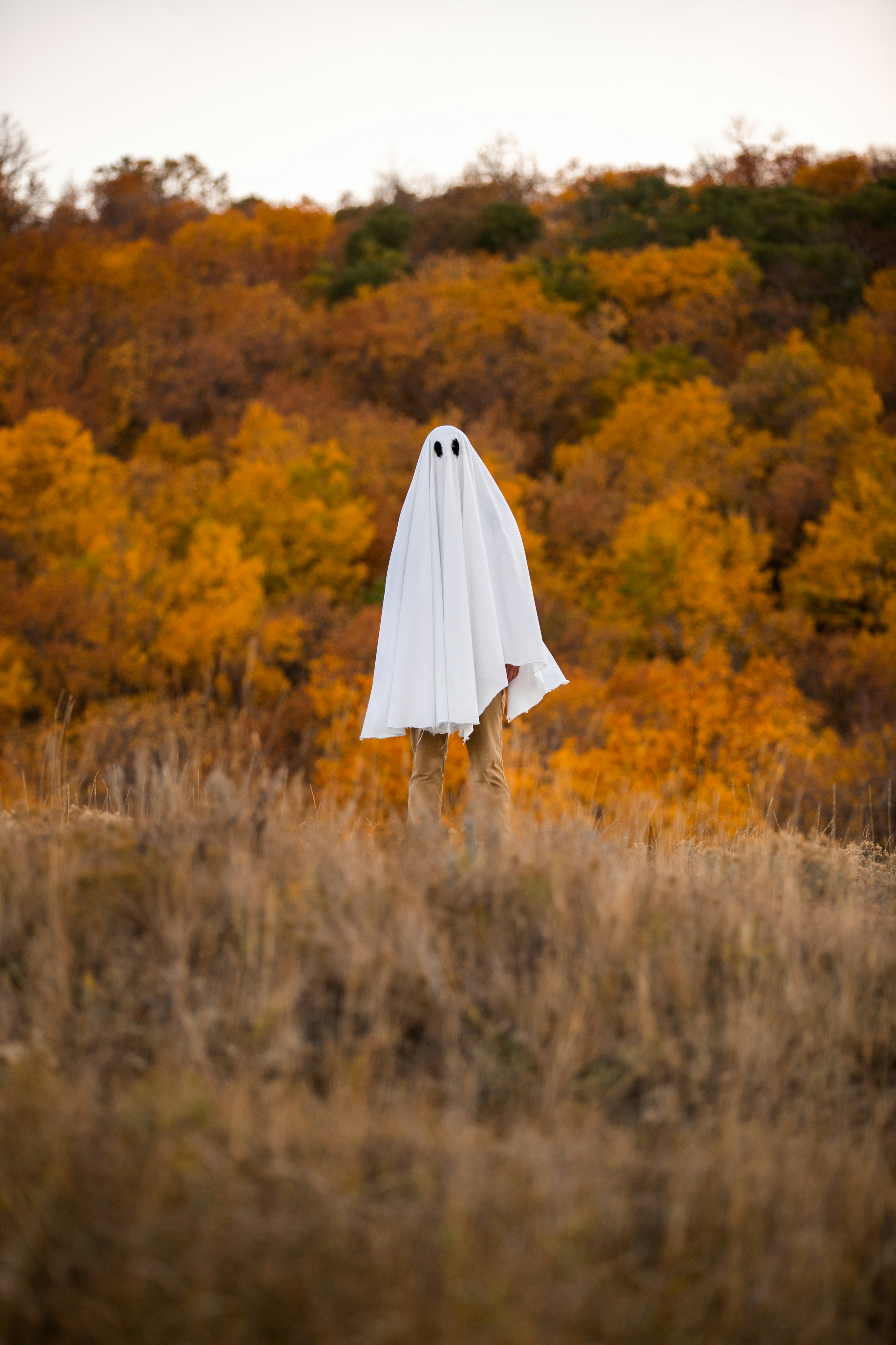 Photo by tandemxvisuals