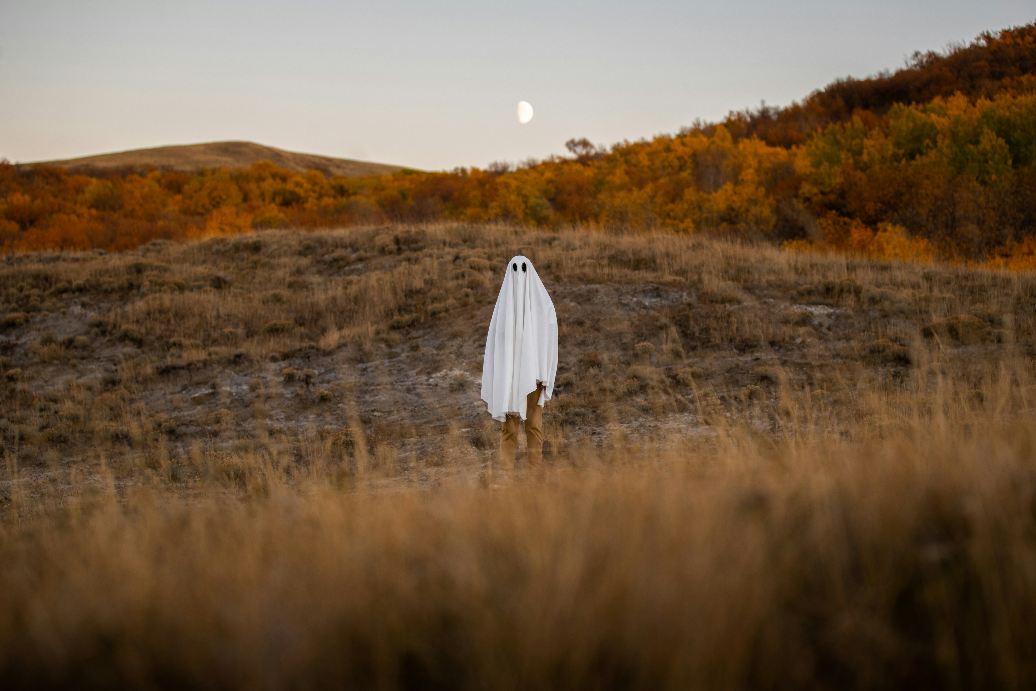 photo-1665028545158-b7871098f1e4?ixid=M3wxMjA3fDB8MXxzZWFyY2h8MTk4fHx0aWt0b2slMjBmb2xsb3dlcnN8ZW58MHx8fHwxNzM3NjMyNzkxfDA%5Cu0026ixlib=rb-4.0.3