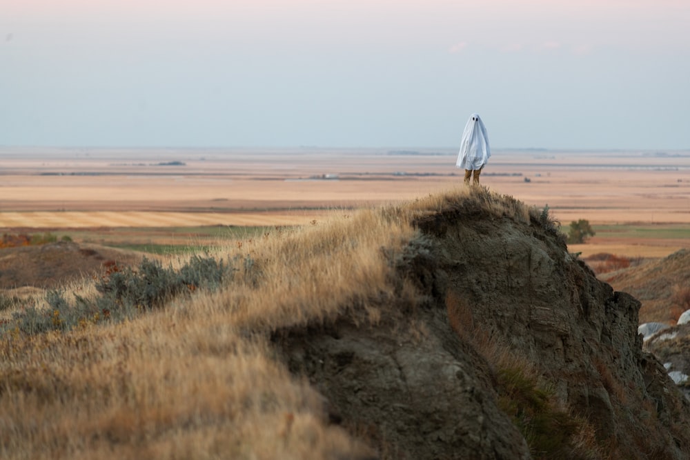 a person walking on a hill with an umbrella