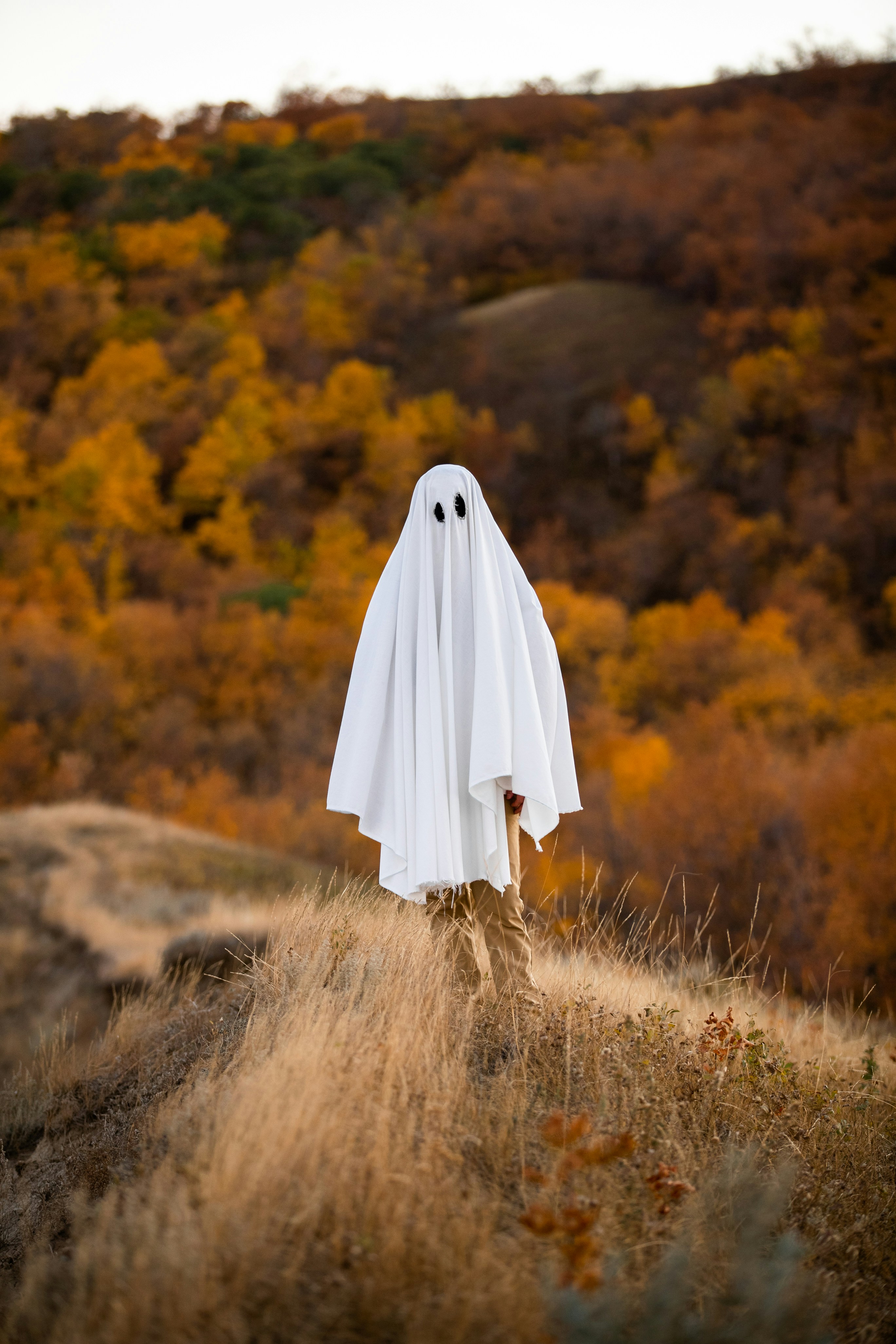 photo-1665028604845-ce0d9e2f7214?ixid=M3wxMjA3fDB8MXxzZWFyY2h8MTQ3fHx0aWt0b2t8ZW58MHx8fHwxNzM3MDg0OTY1fDA%5Cu0026ixlib=rb-4.0.3