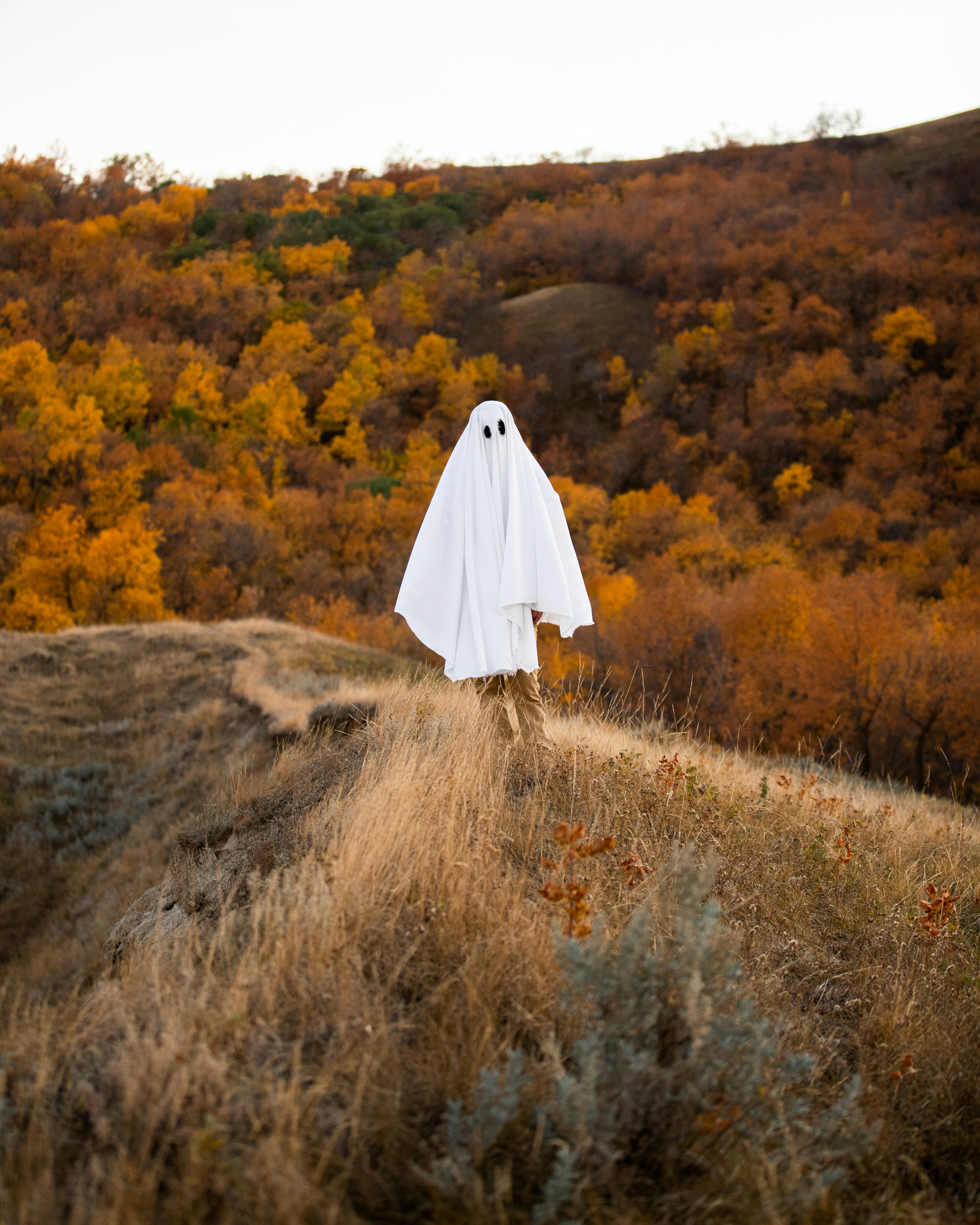 Photo by tandemxvisuals