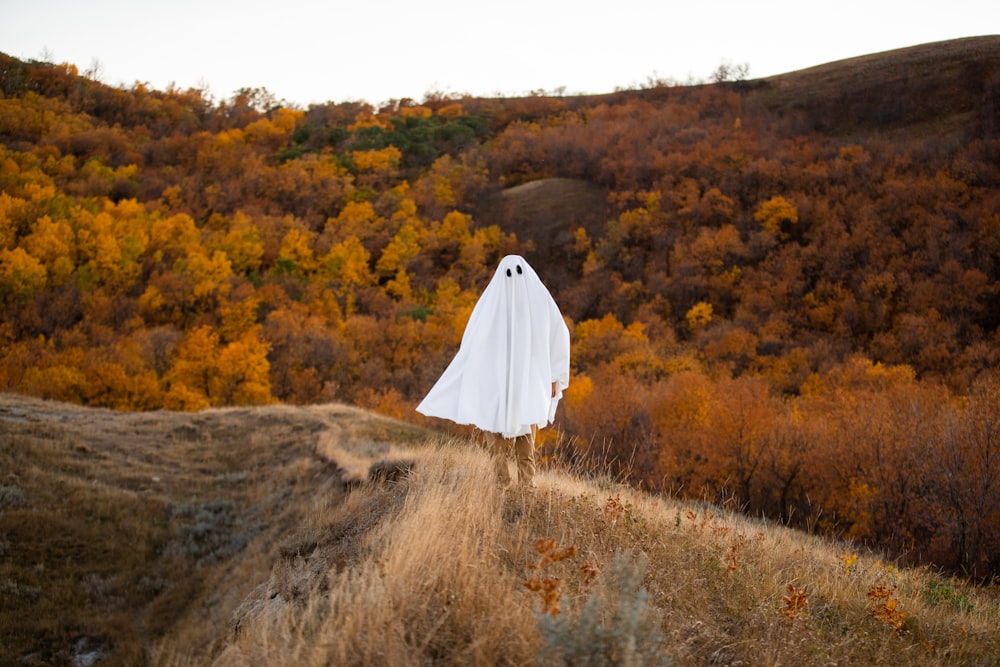 a white tent in a forest