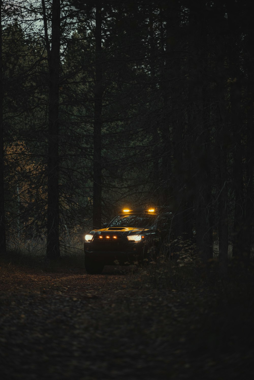 a car parked in a wooded area