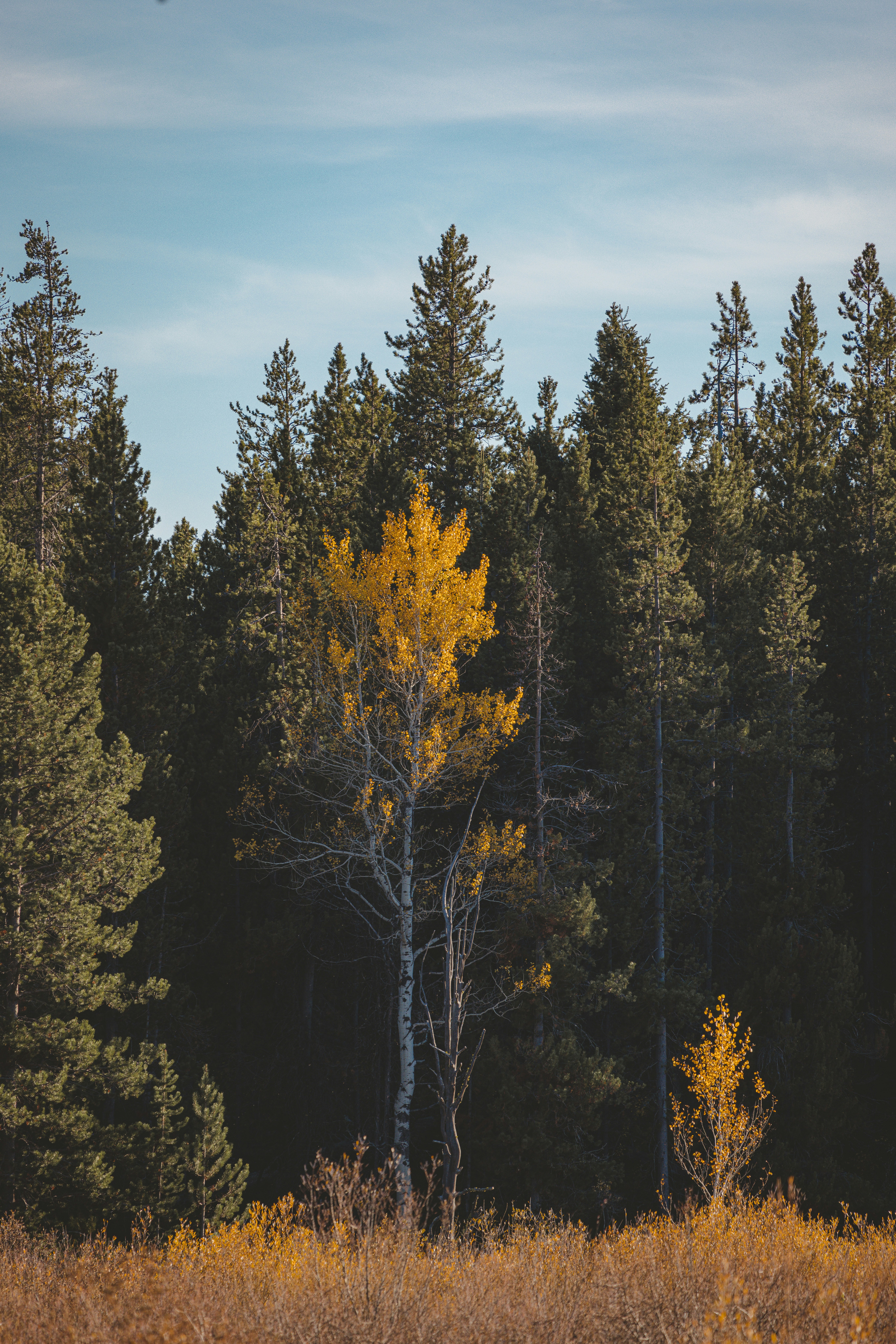 Photo by isaactmitchell