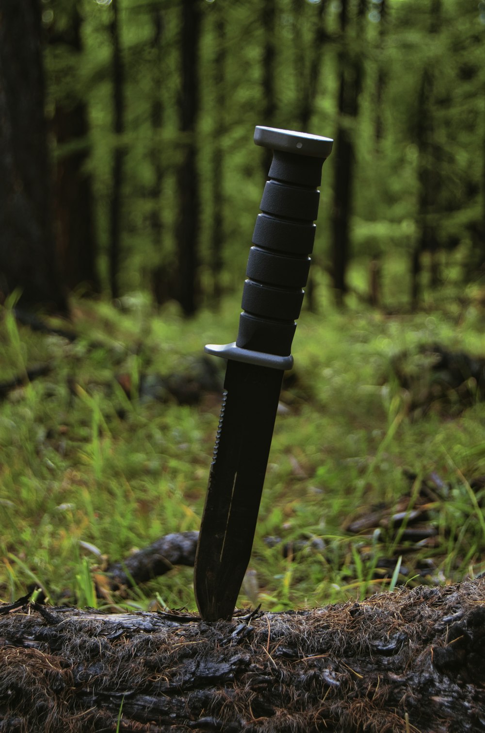 a black and silver sword in the woods