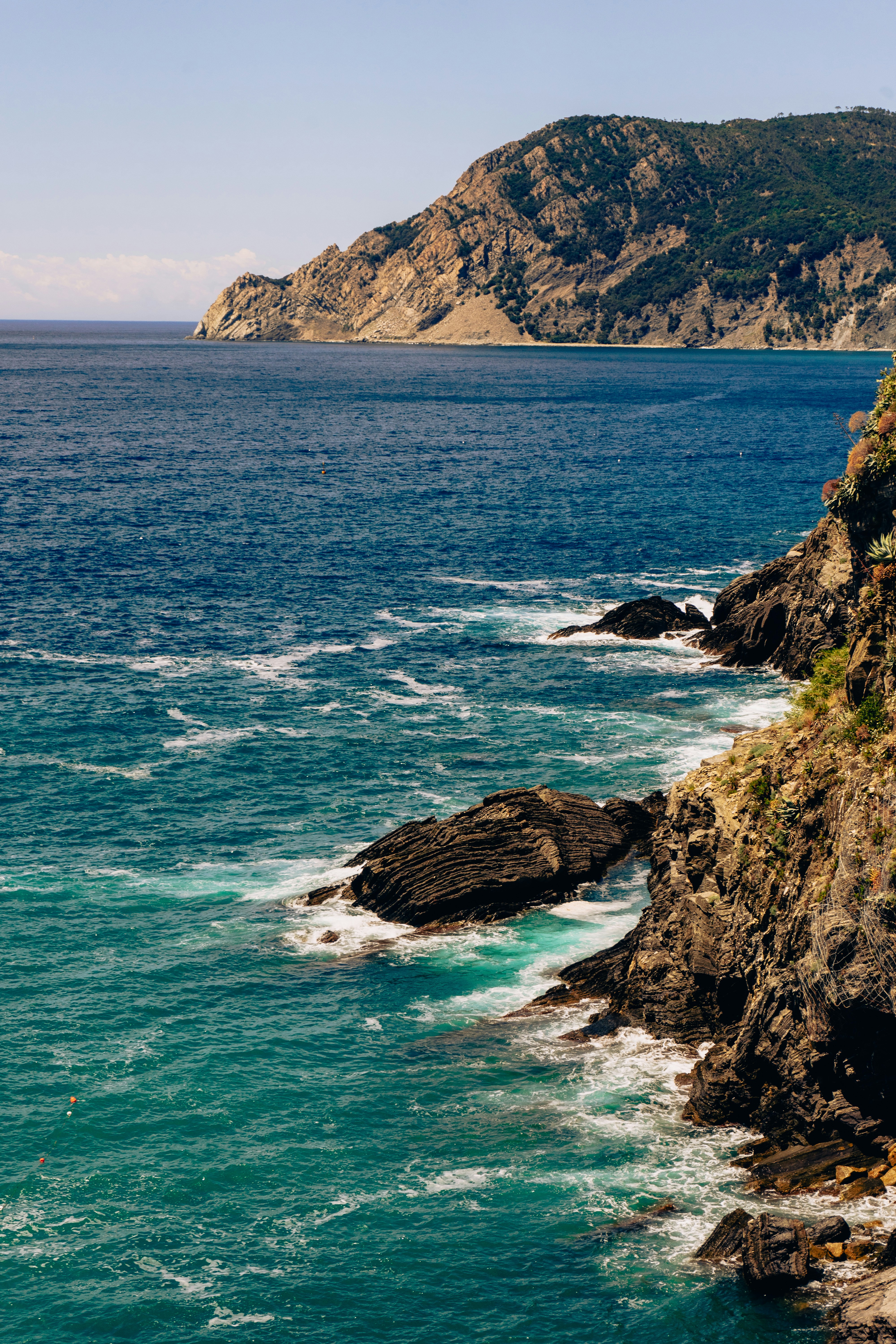 Photo by virussinside