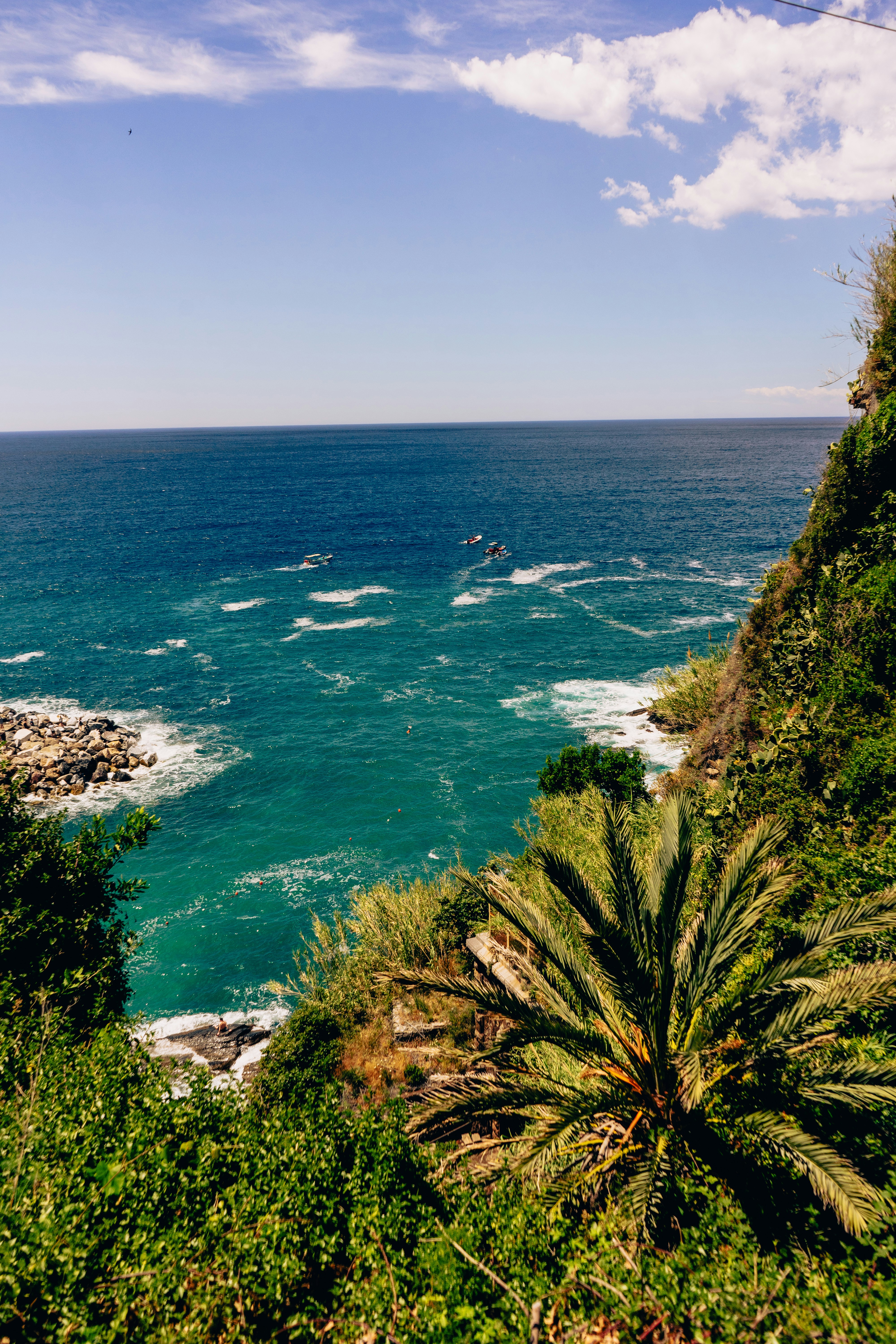 Photo by virussinside