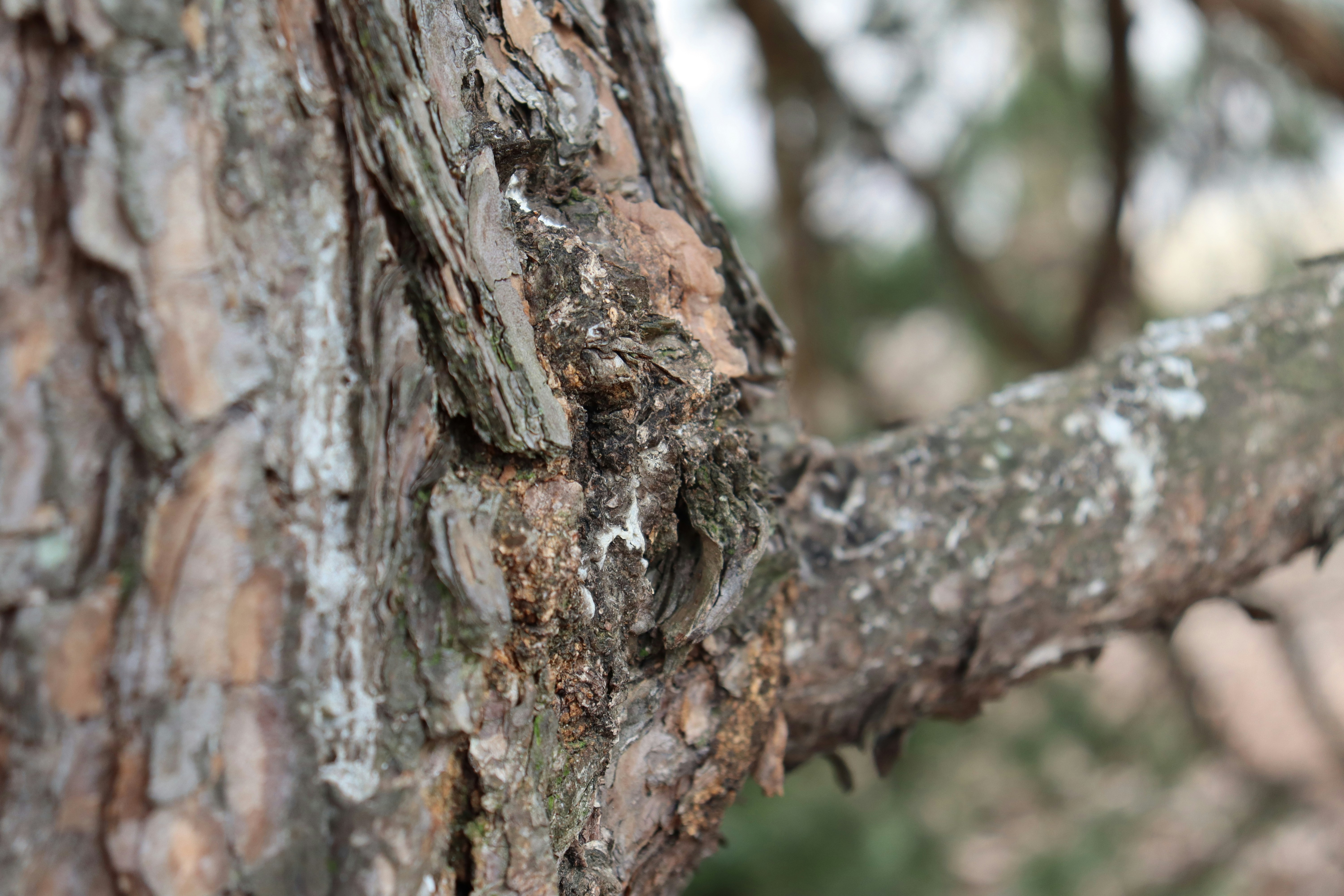 Photo by capturedbyk