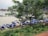 A group of traditional wooden boats with blue tarpaulins bearing a Pepsi logo are docked along a riverbank. The boats are positioned in a row next to a lush green area with trees and grass. The river appears calm, and there is a bridge visible in the background.