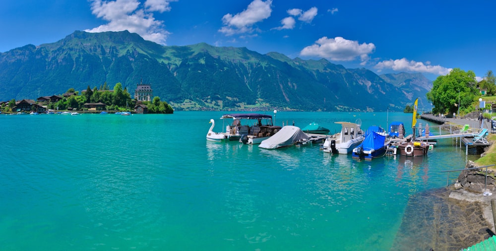 boats in the water