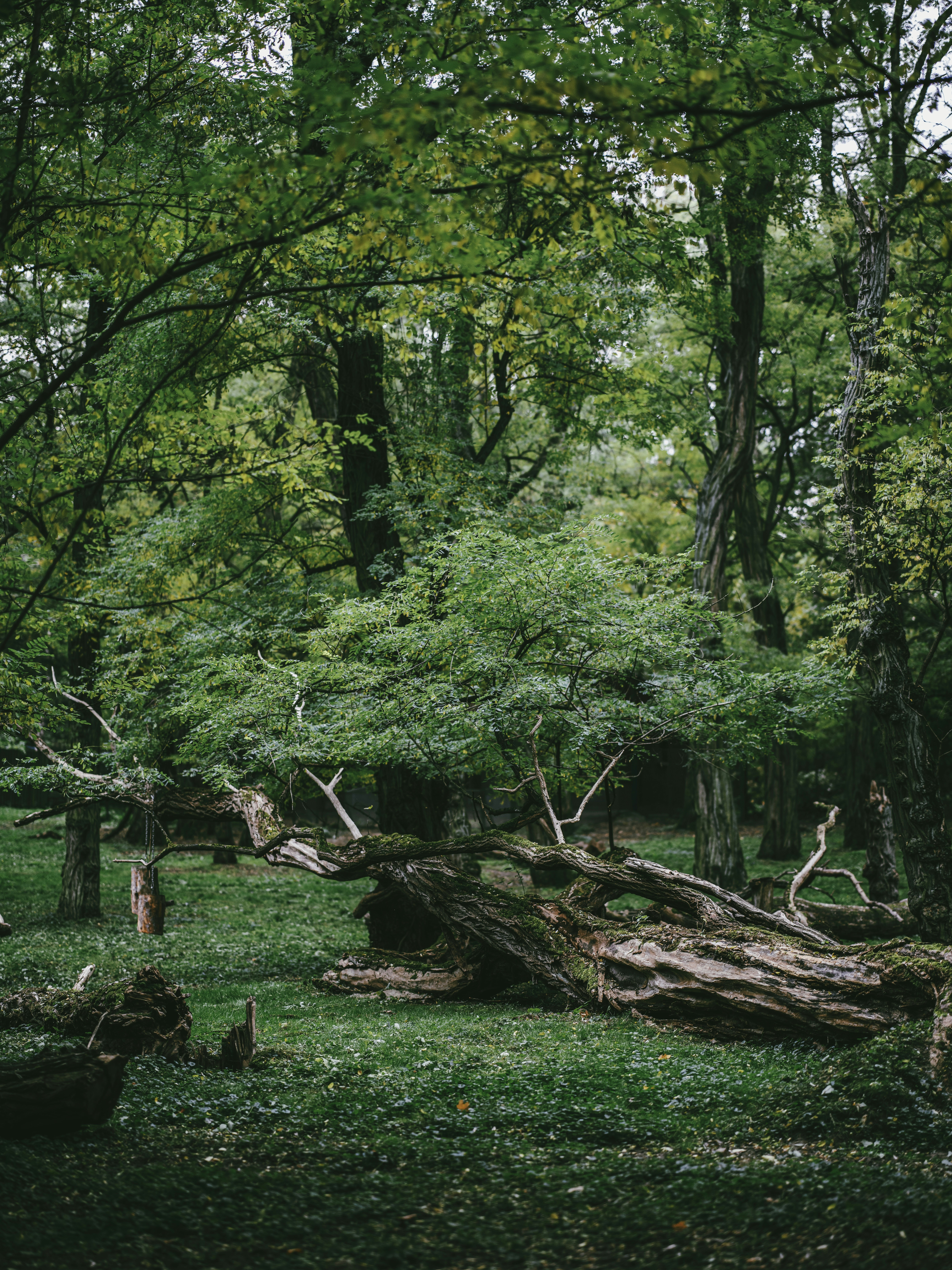 Photo by egorkomarov