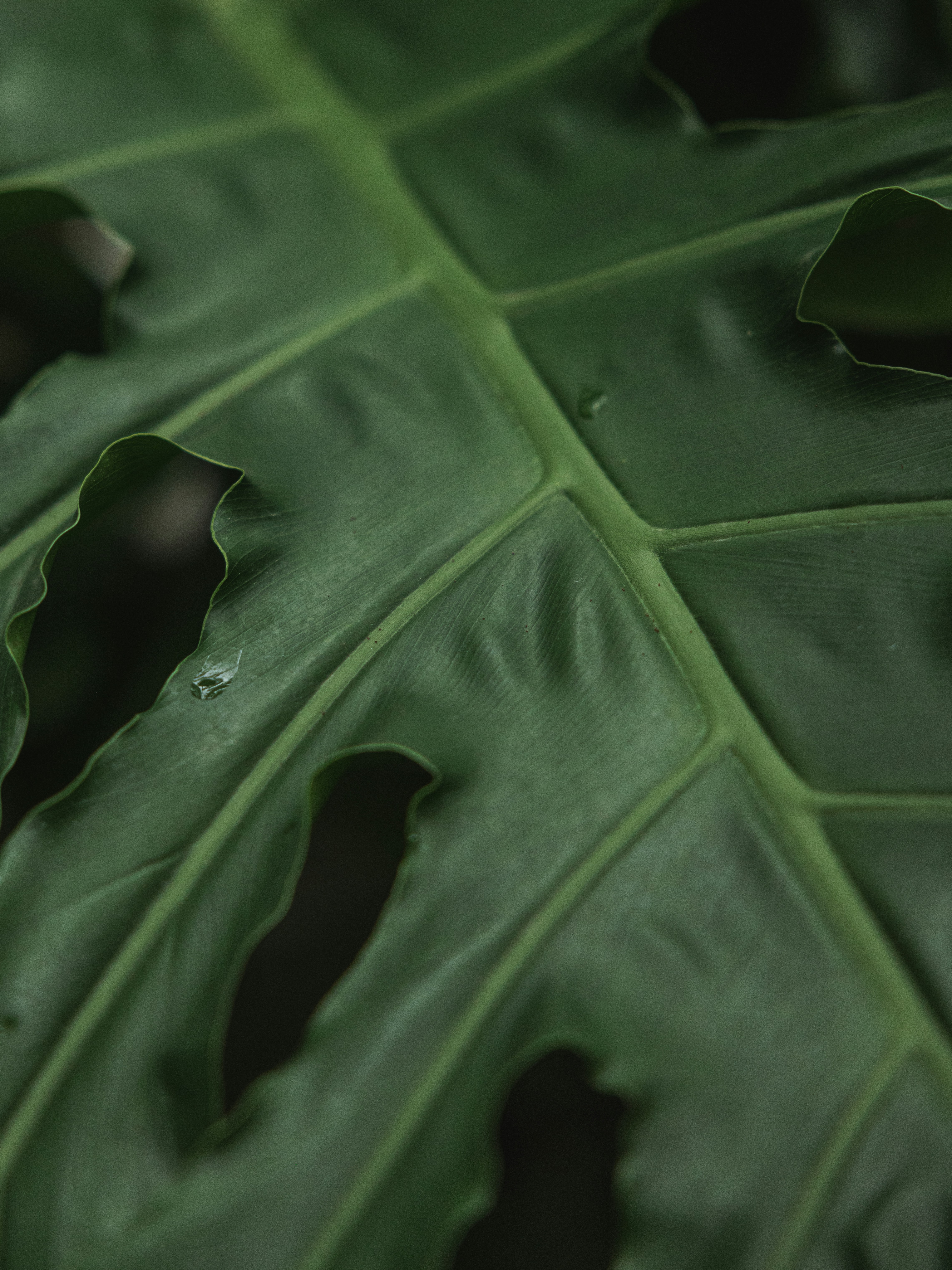 Photo by zhaozhao1993