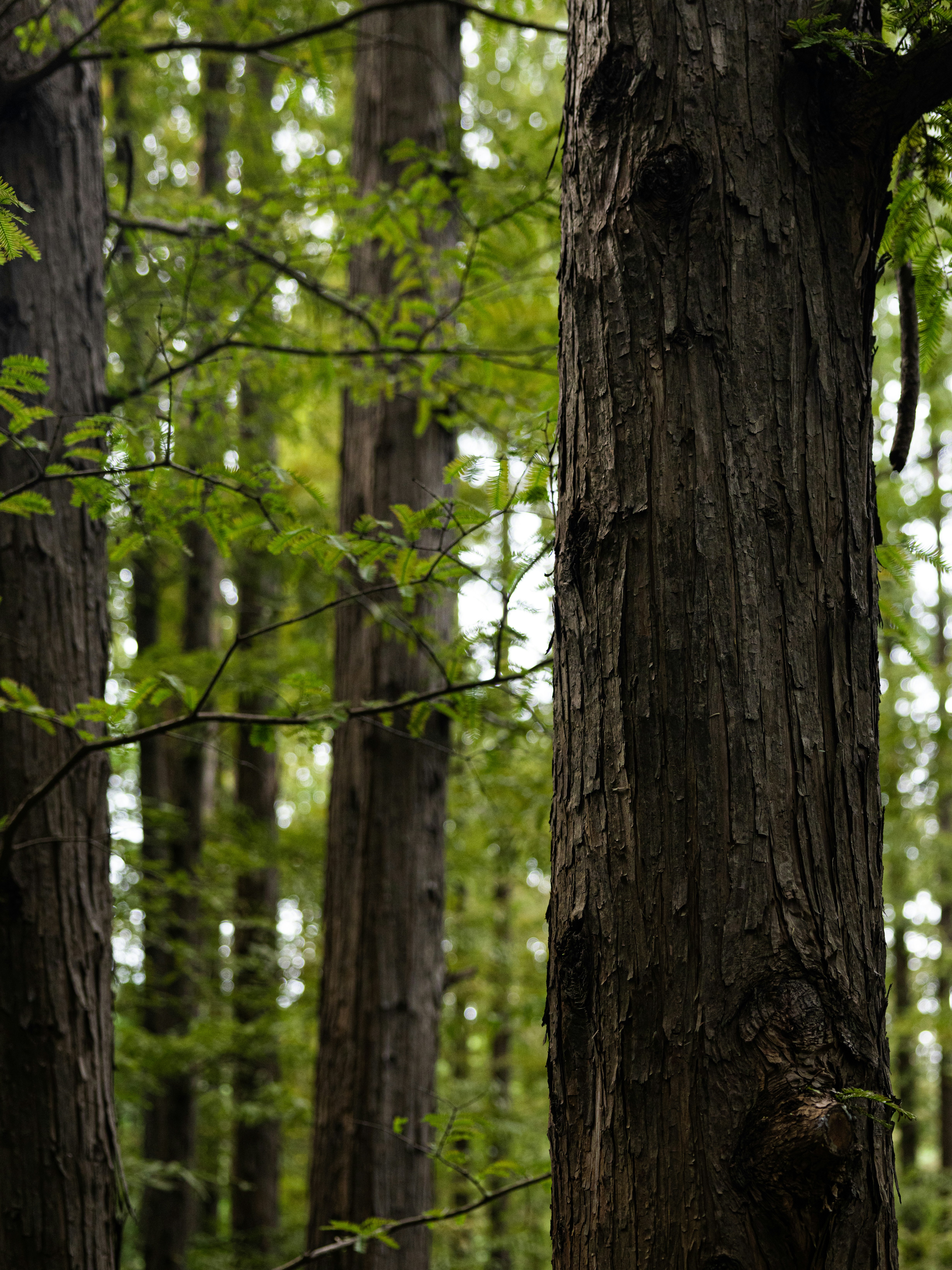 Photo by zhaozhao1993