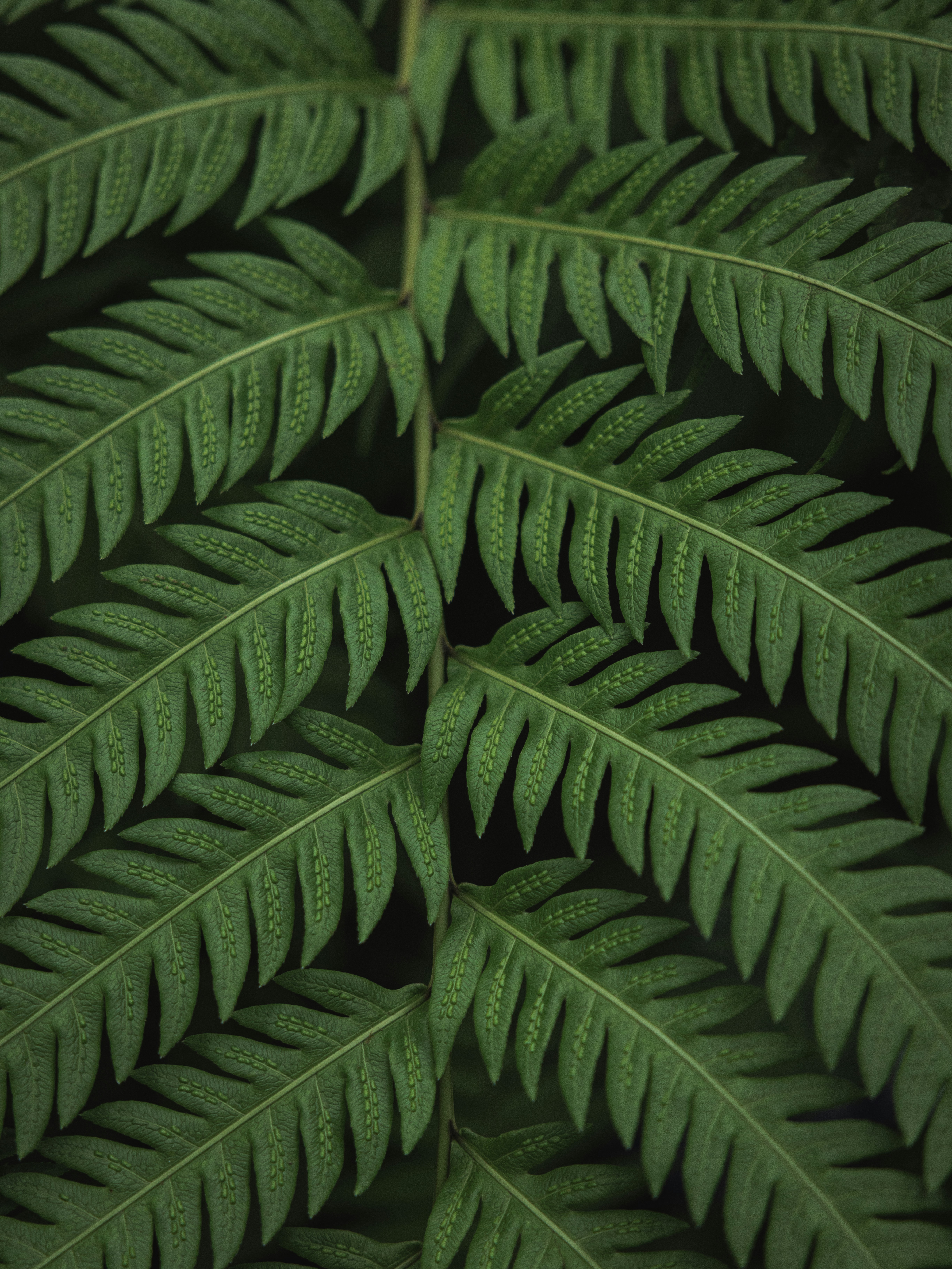 Photo by zhaozhao1993