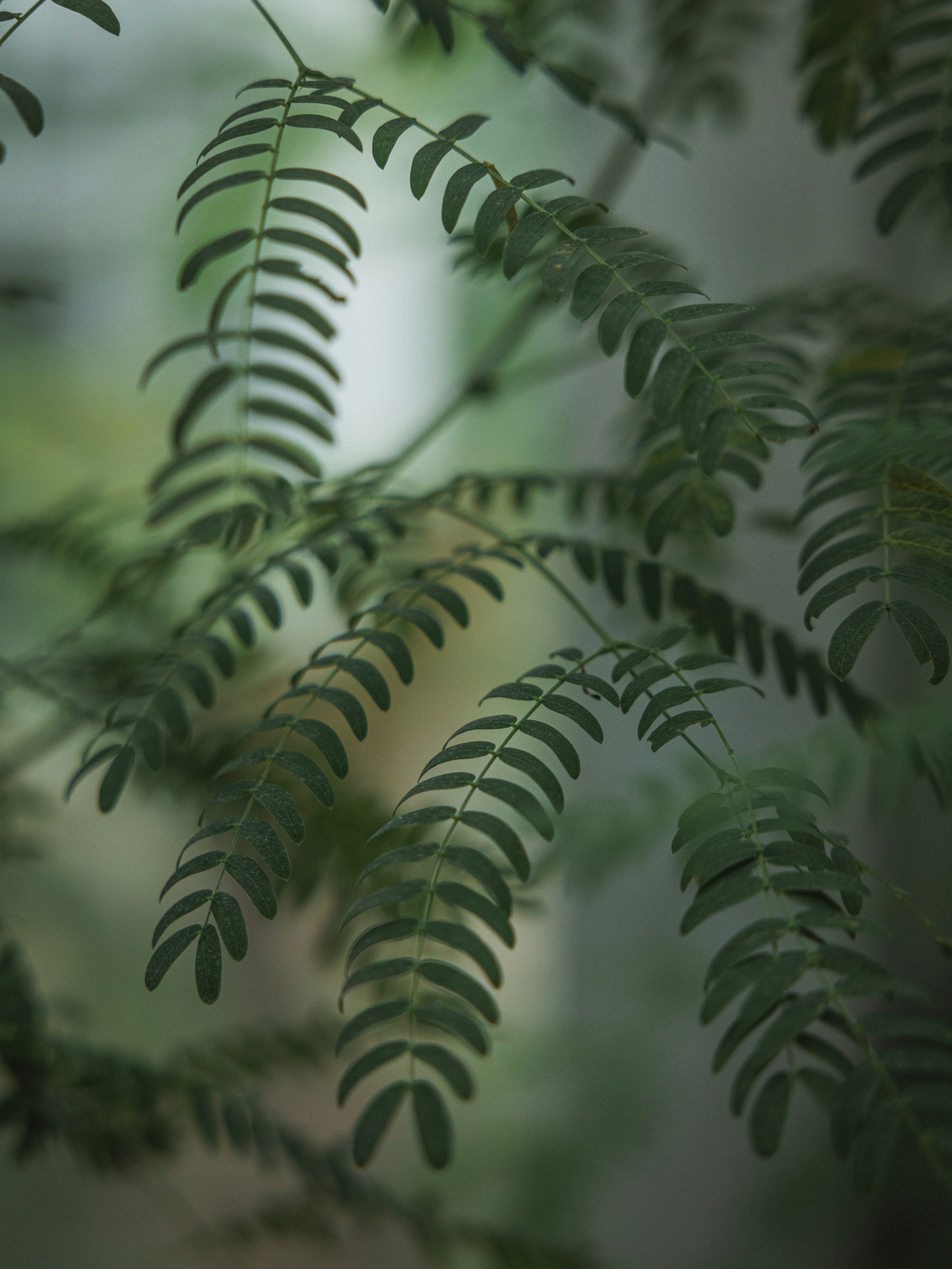 Photo by zhaozhao1993