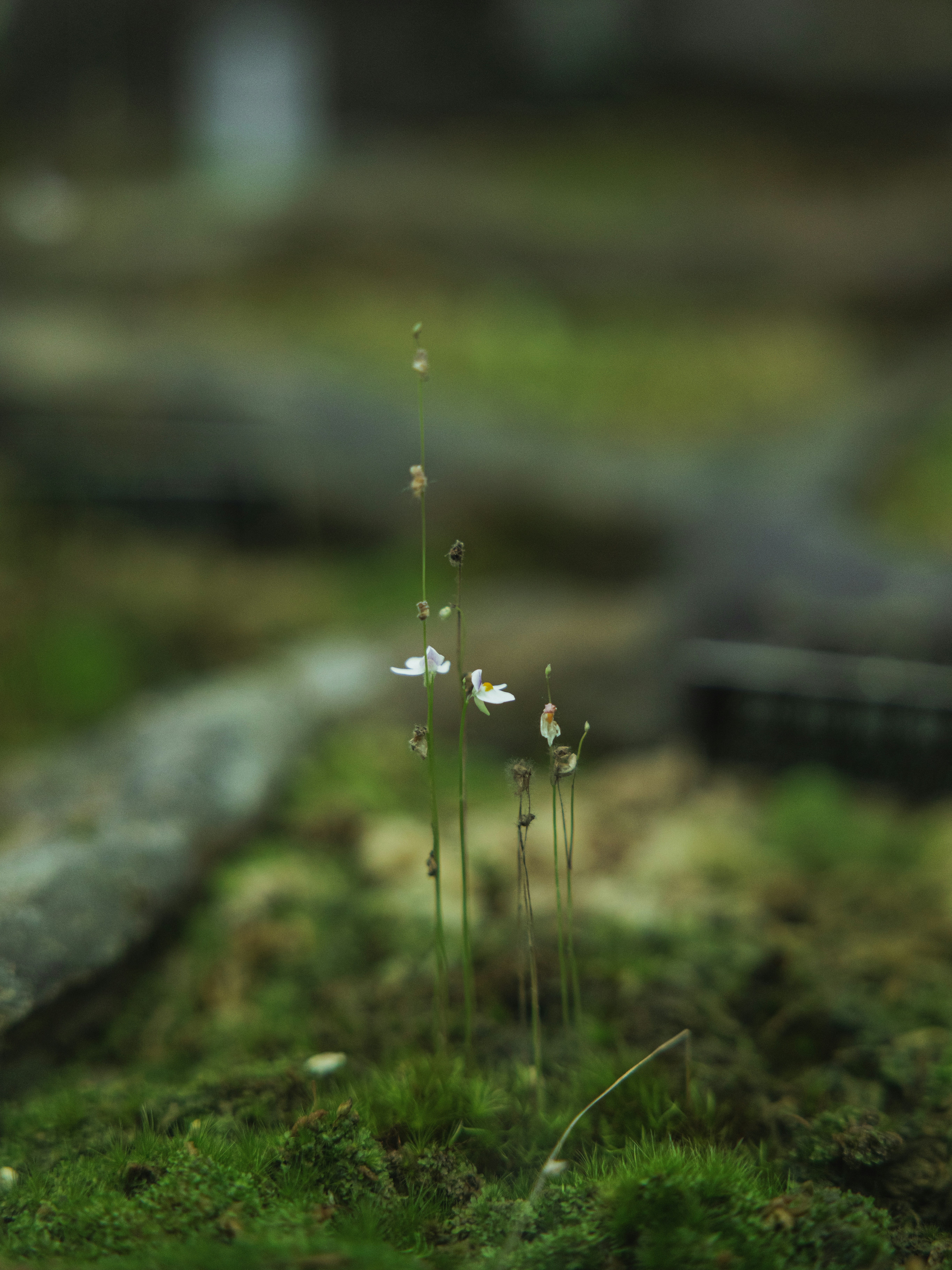 Photo by zhaozhao1993