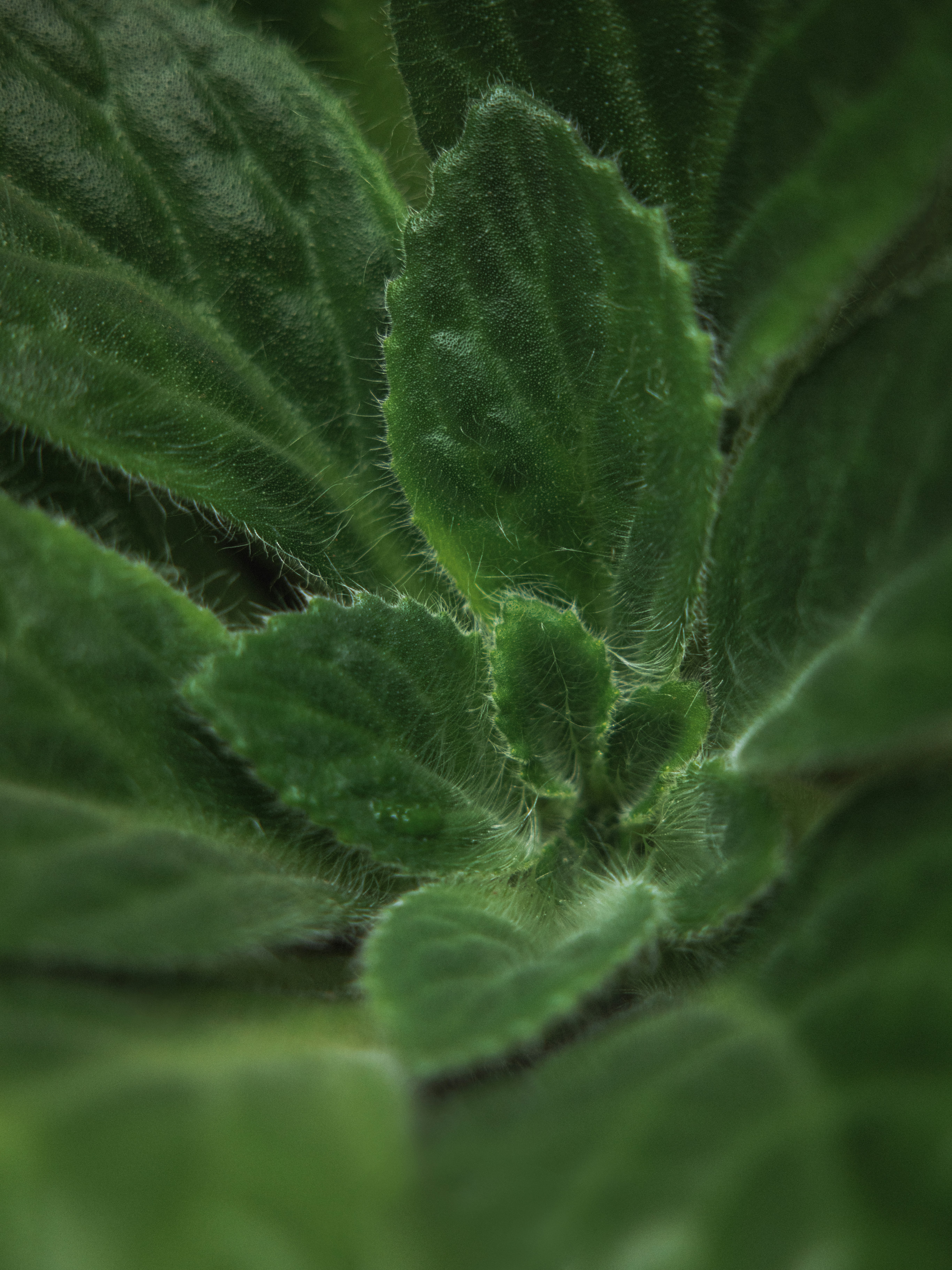 Photo by zhaozhao1993