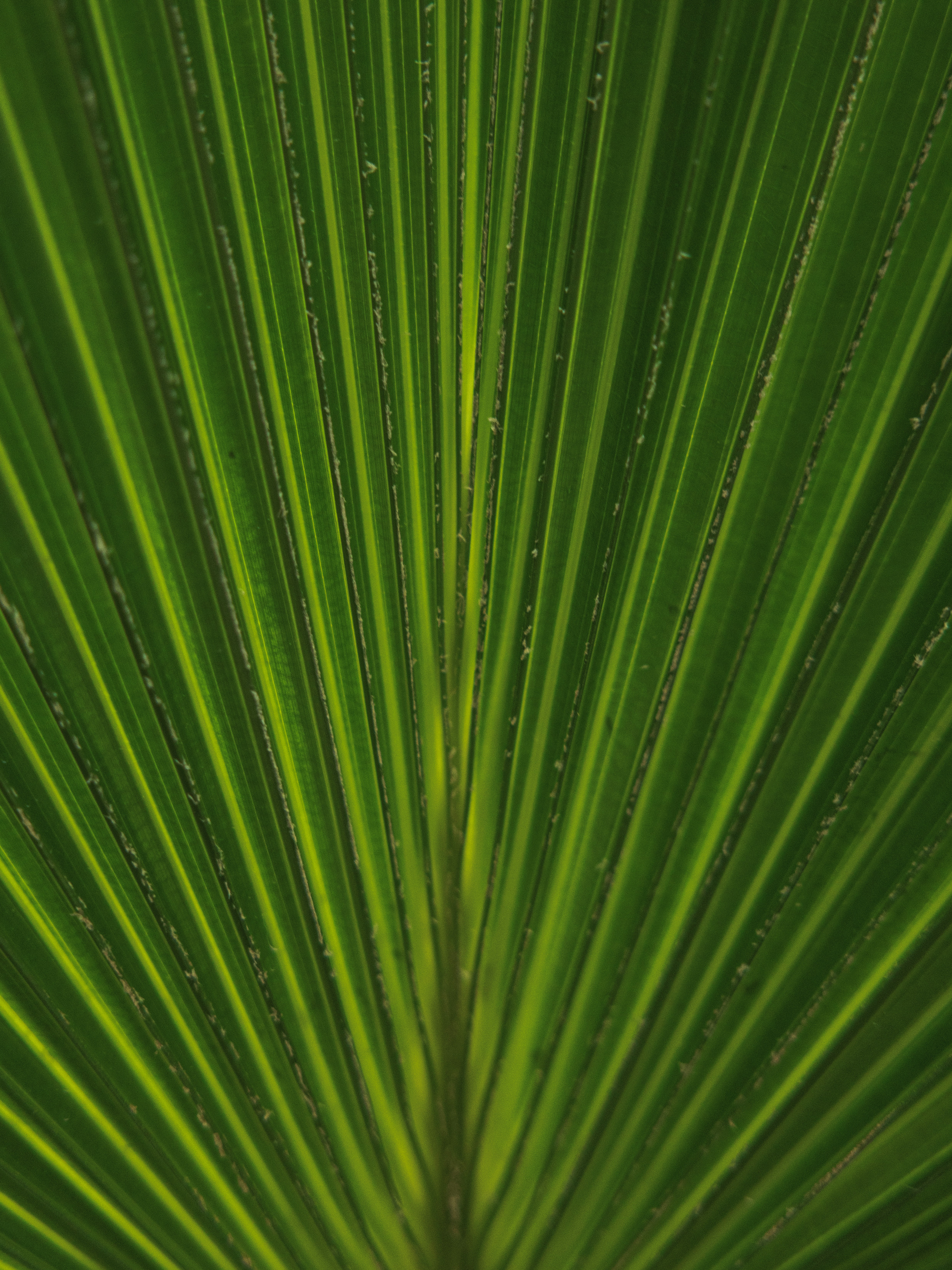 Photo by zhaozhao1993