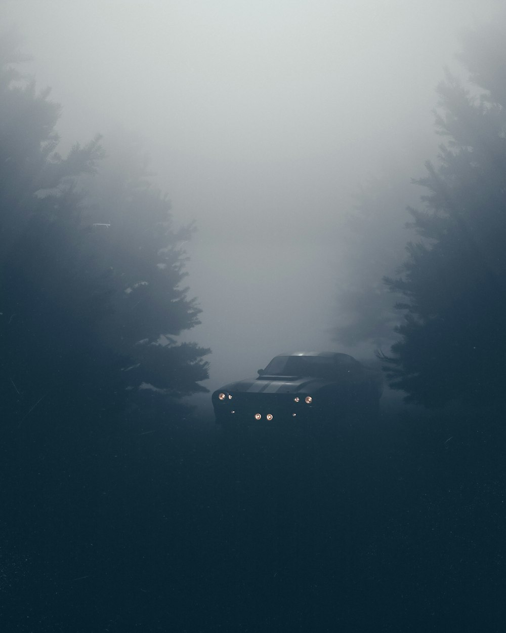 a car driving through a foggy forest