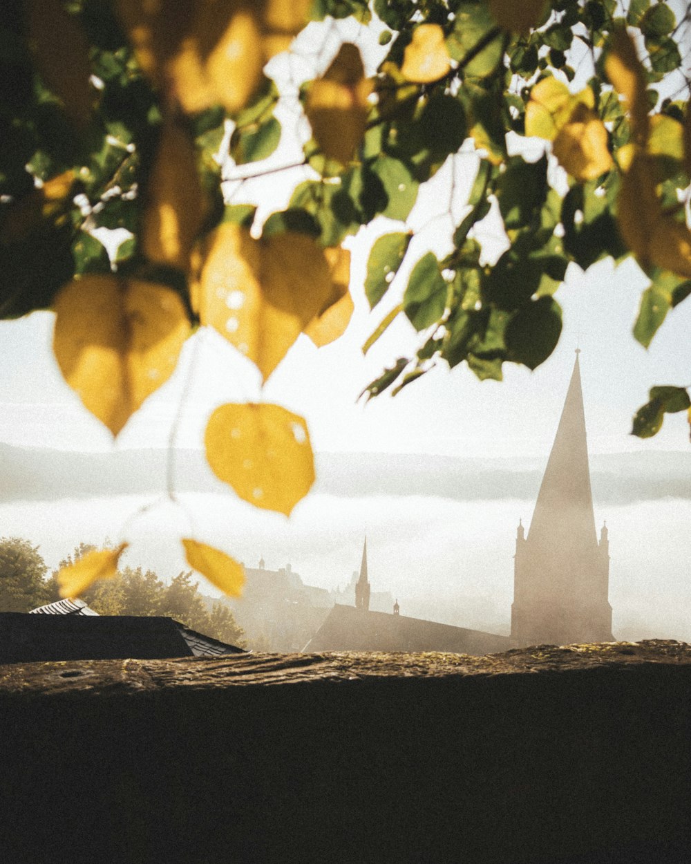 a tree with a tower in the background