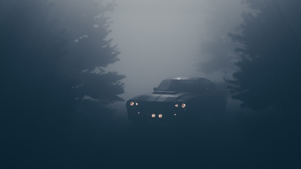 a car driving through a foggy forest