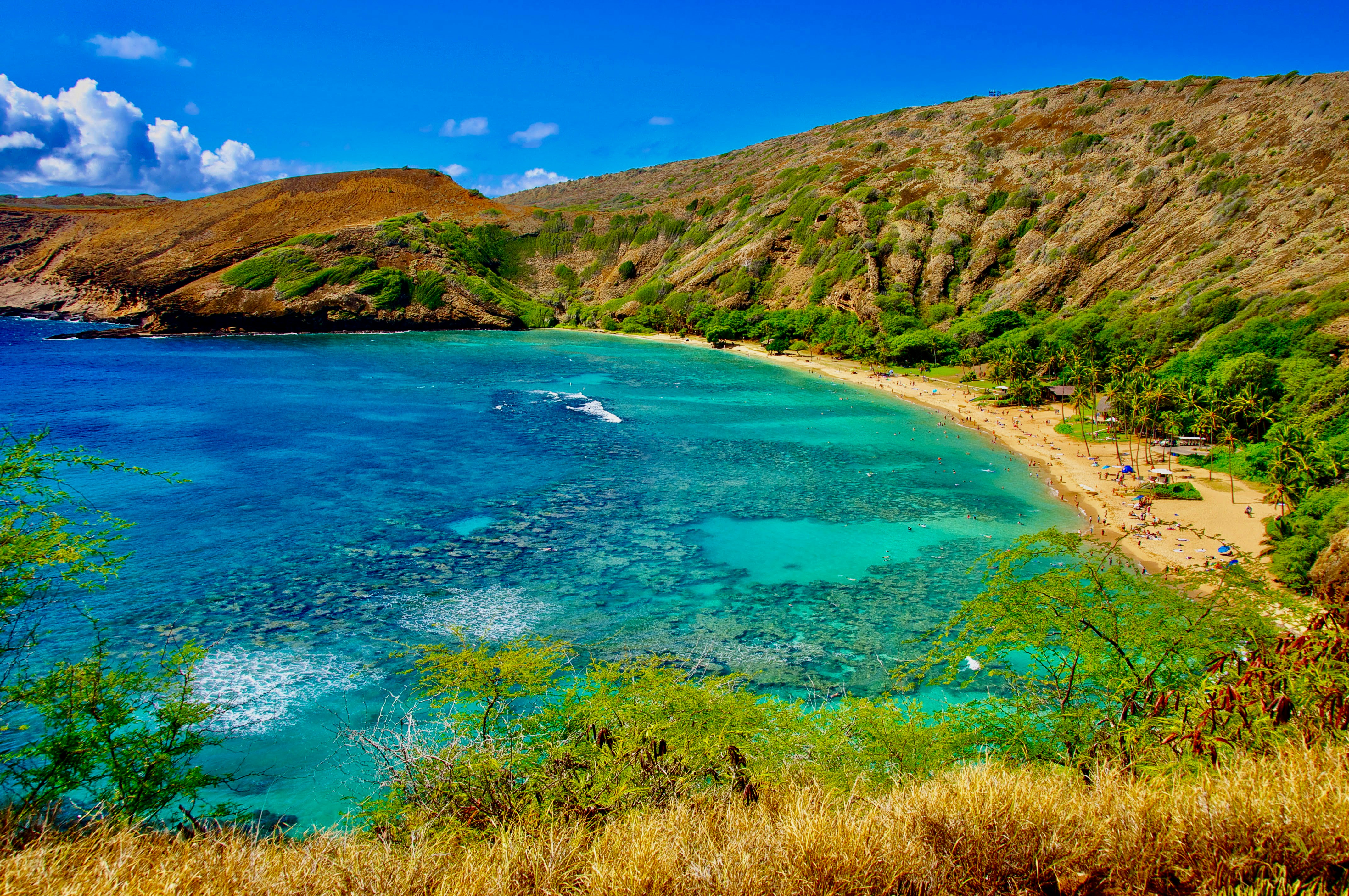 Una spiaggia con acqua blu con Hanauma Bay sullo sfondo foto – Immagine  gratis di Mare su Unsplash, image size:3000x1993