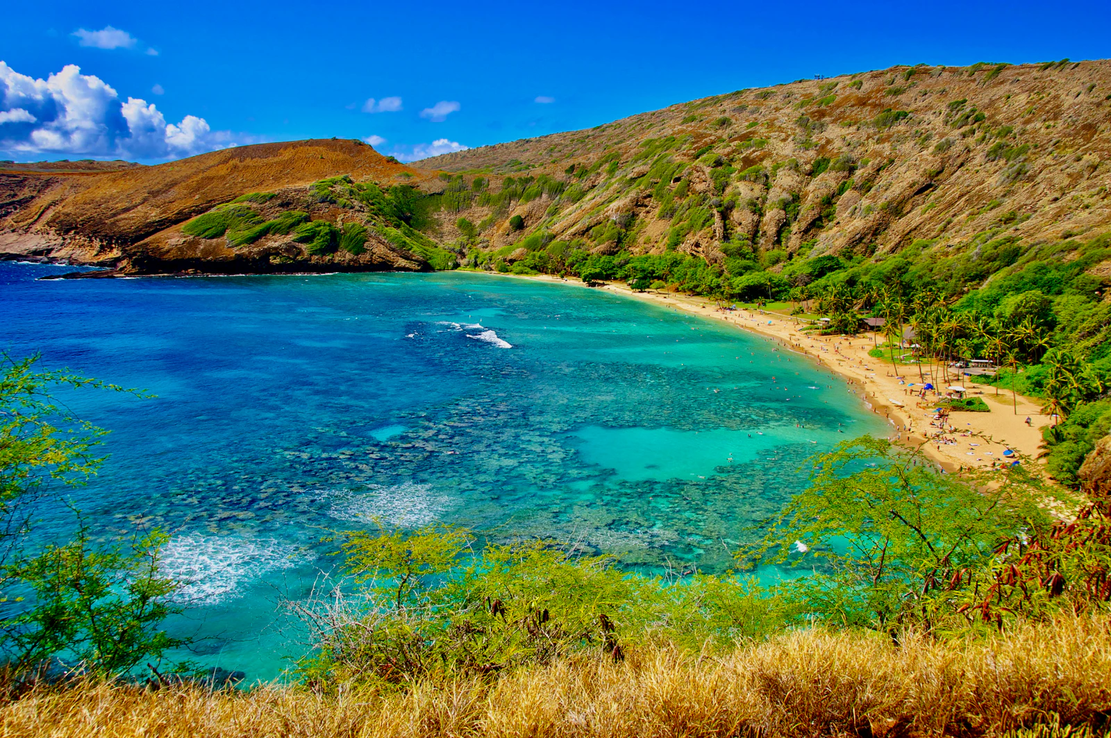 Türkisfarbene Hanauma Bay mit Korallenriff auf Oʻahu