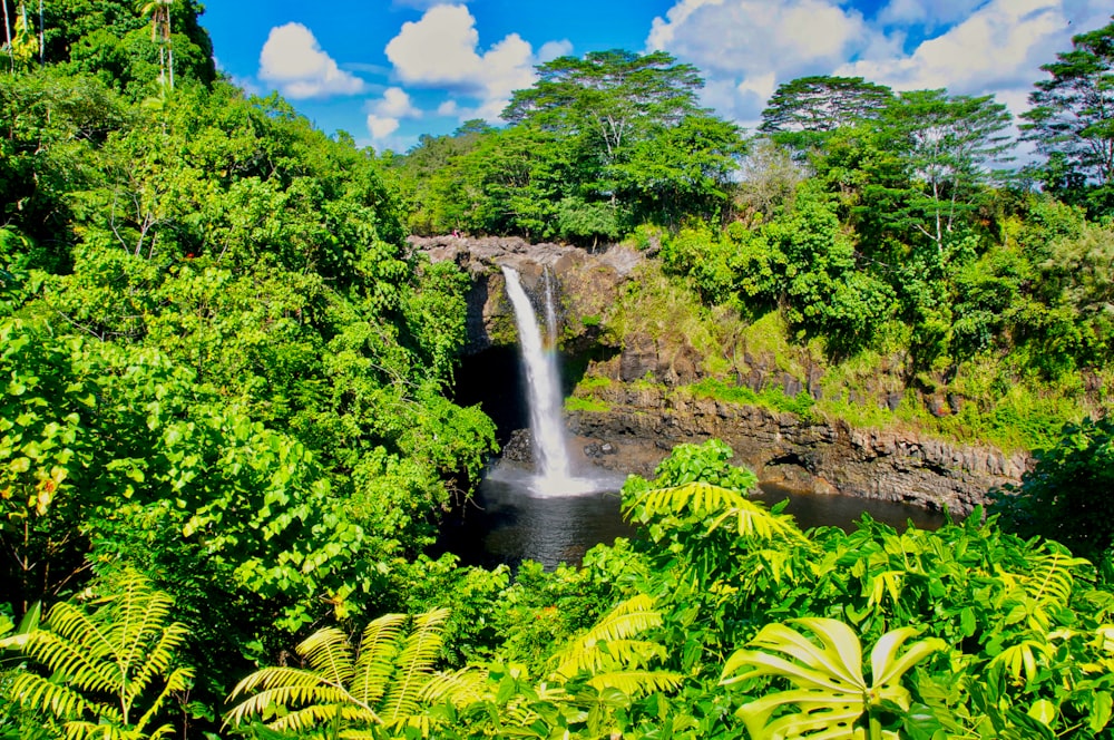 a waterfall in a forest