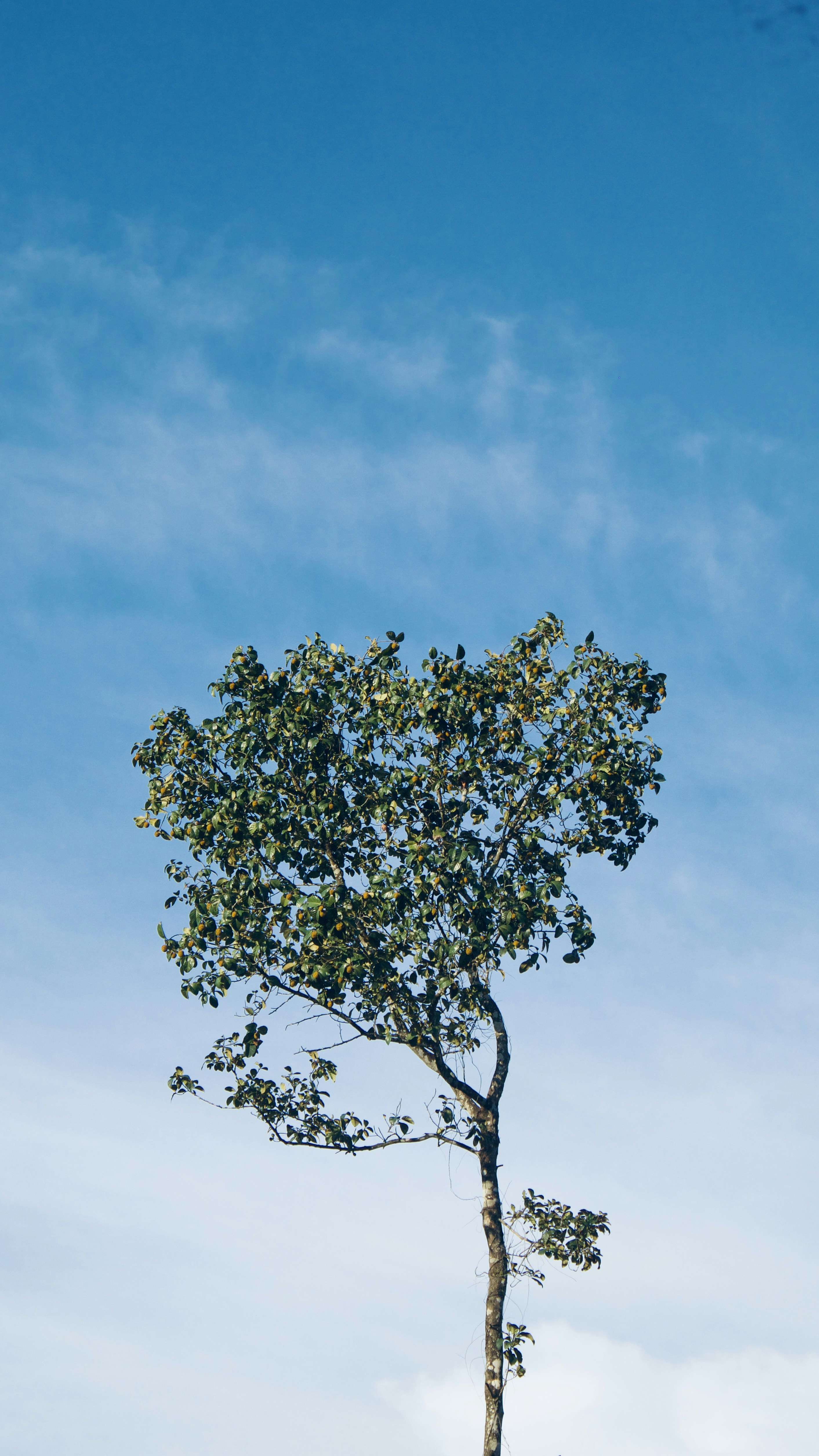 Photo by akhilnath_22