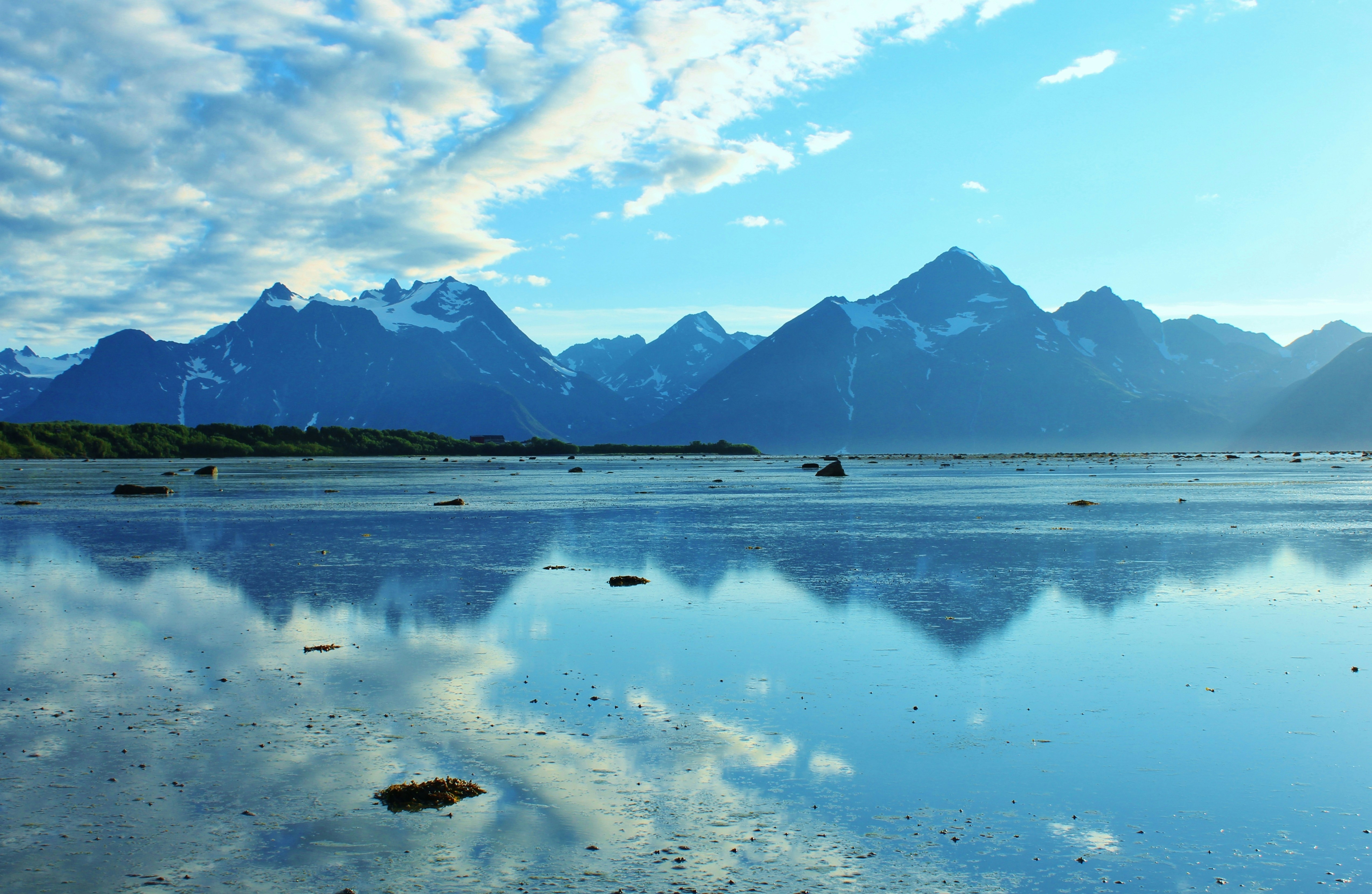 Photo by marianneelea