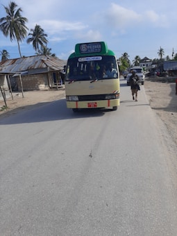 A small bus with a green sign on top indicating route number and destination is traveling down a paved road. Palm trees and simple structures with corrugated roofs line the sides of the road. A person is walking along the road carrying items, and another vehicle follows in the distance. The sky is partly cloudy.