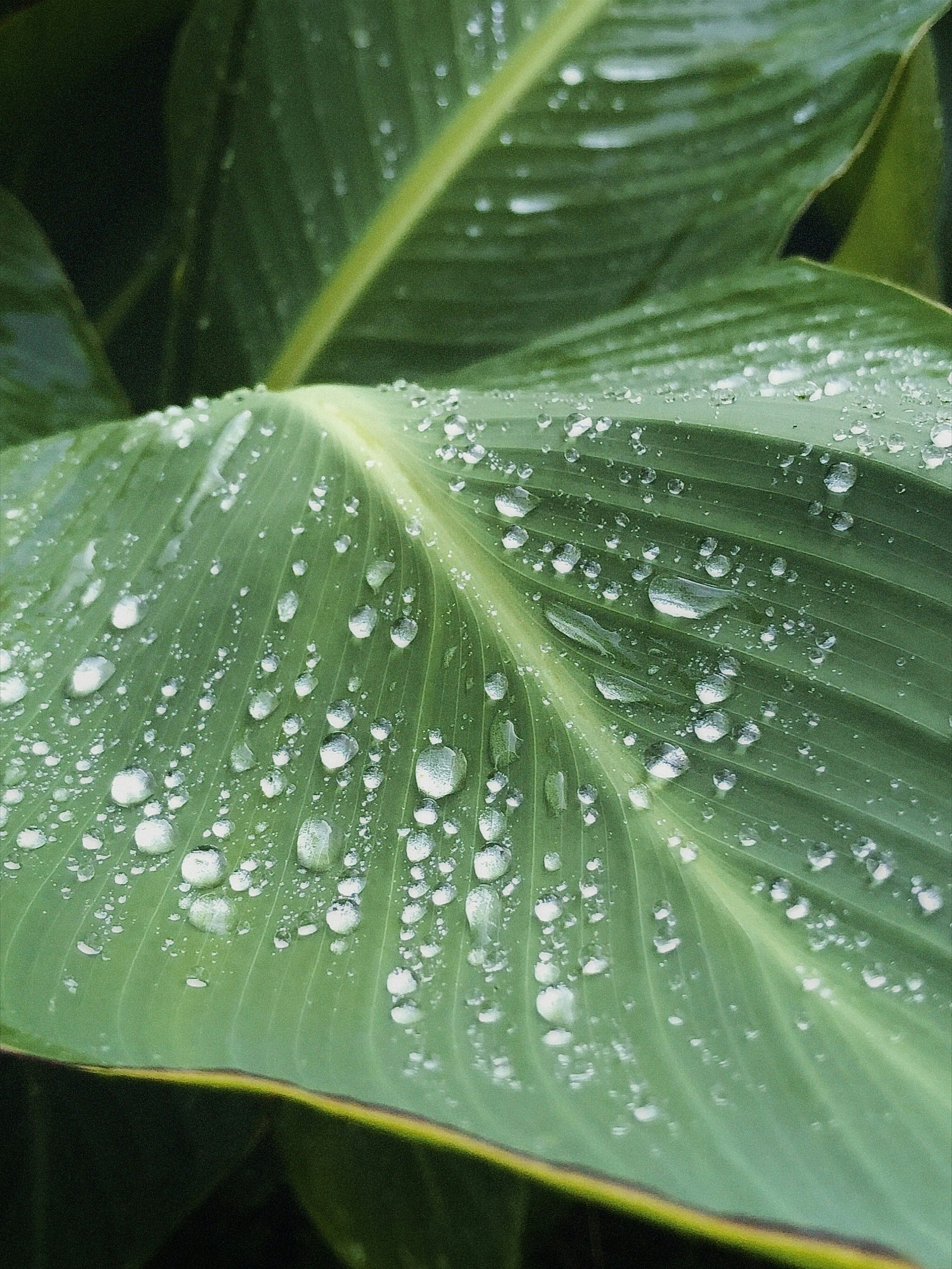 Photo by jovanvasiljevic