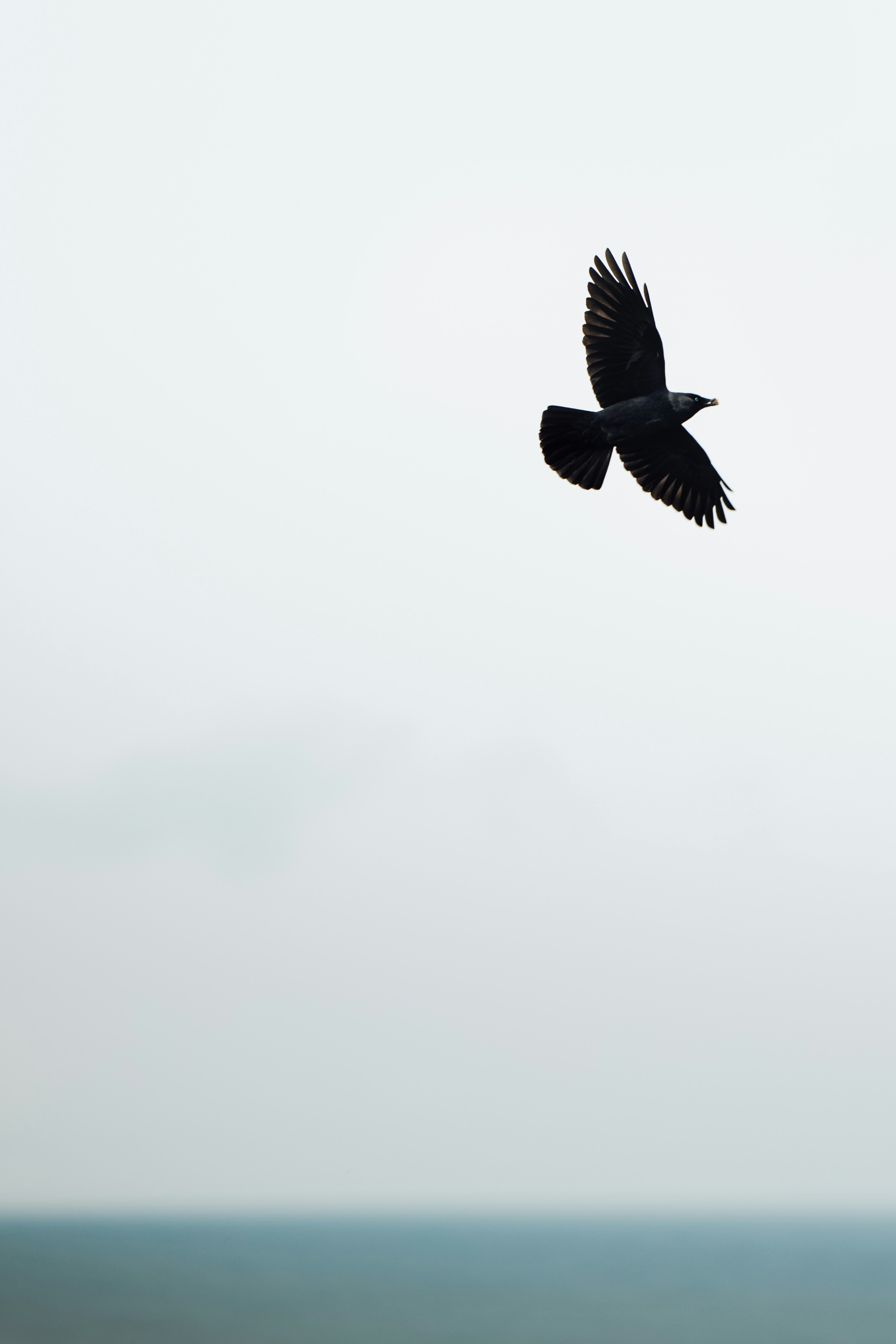 Photo by lukethorntonofficial