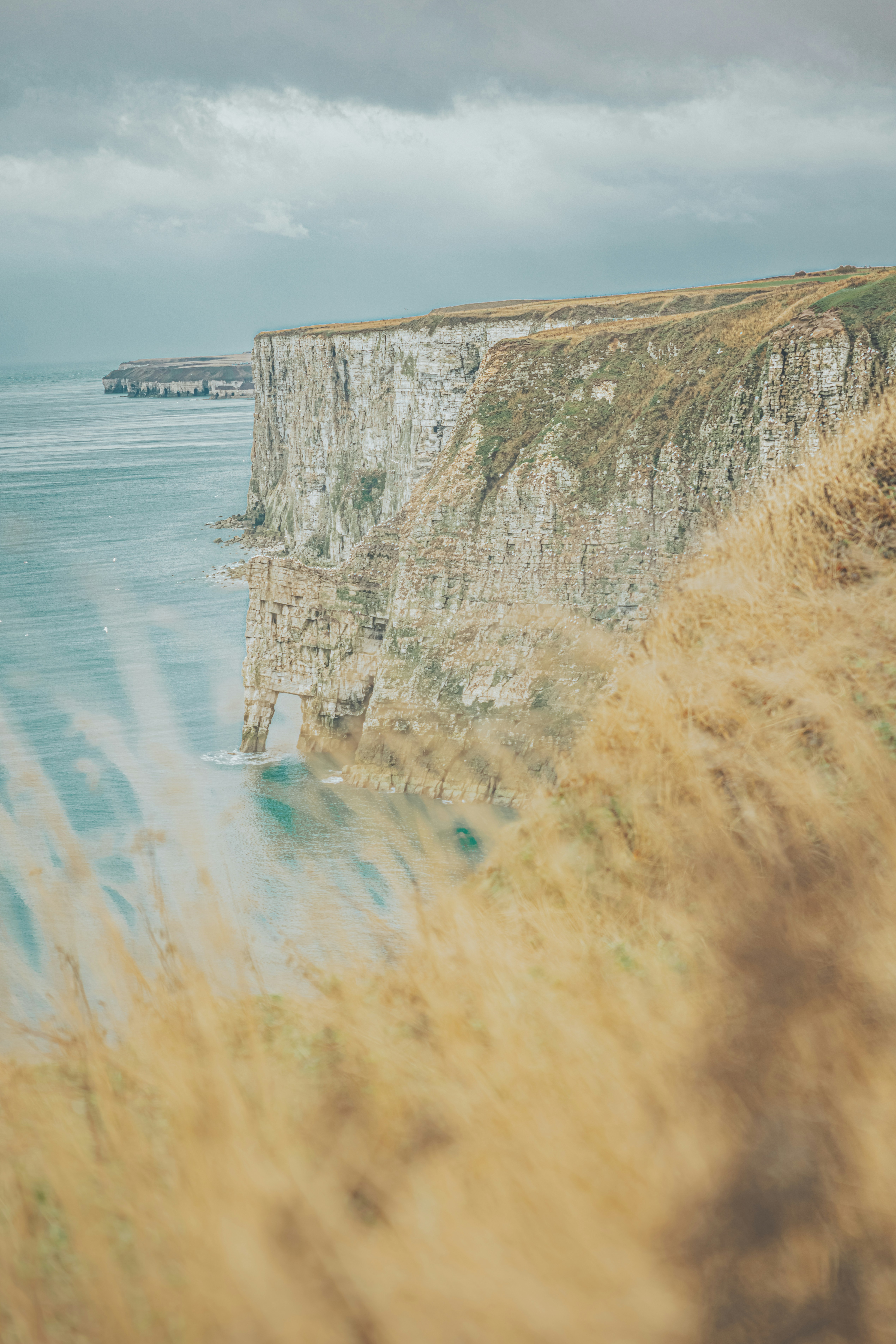 Photo by lukethorntonofficial