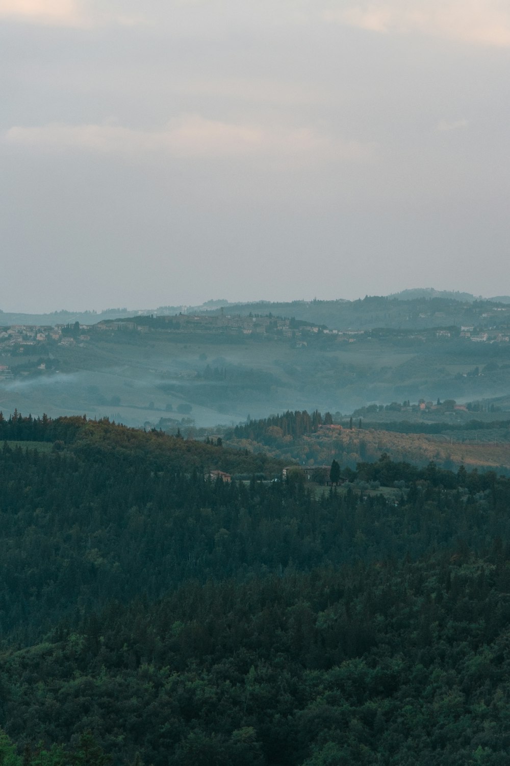 a landscape with trees and a body of water in the background