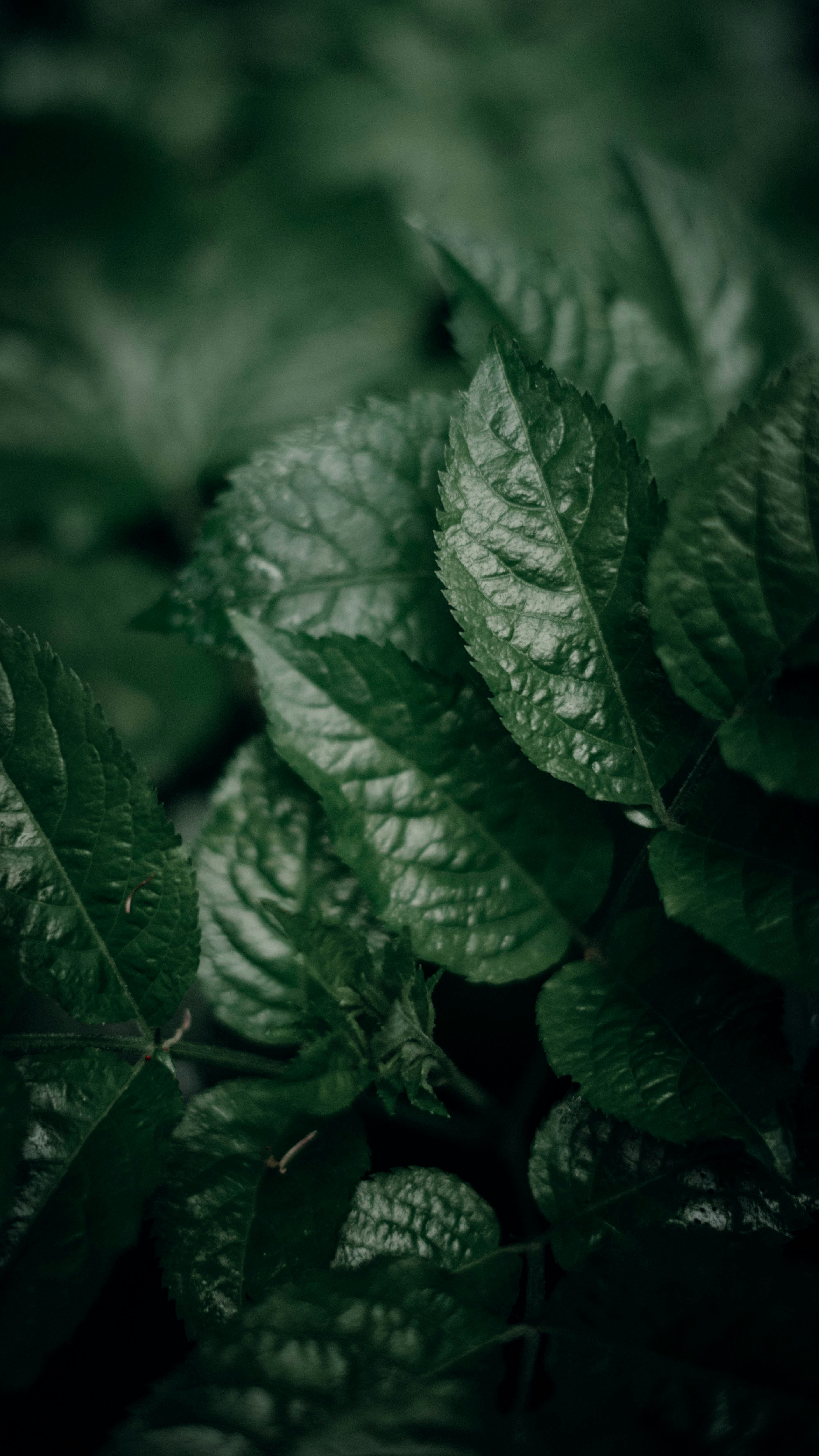 Photo by davesvisuals