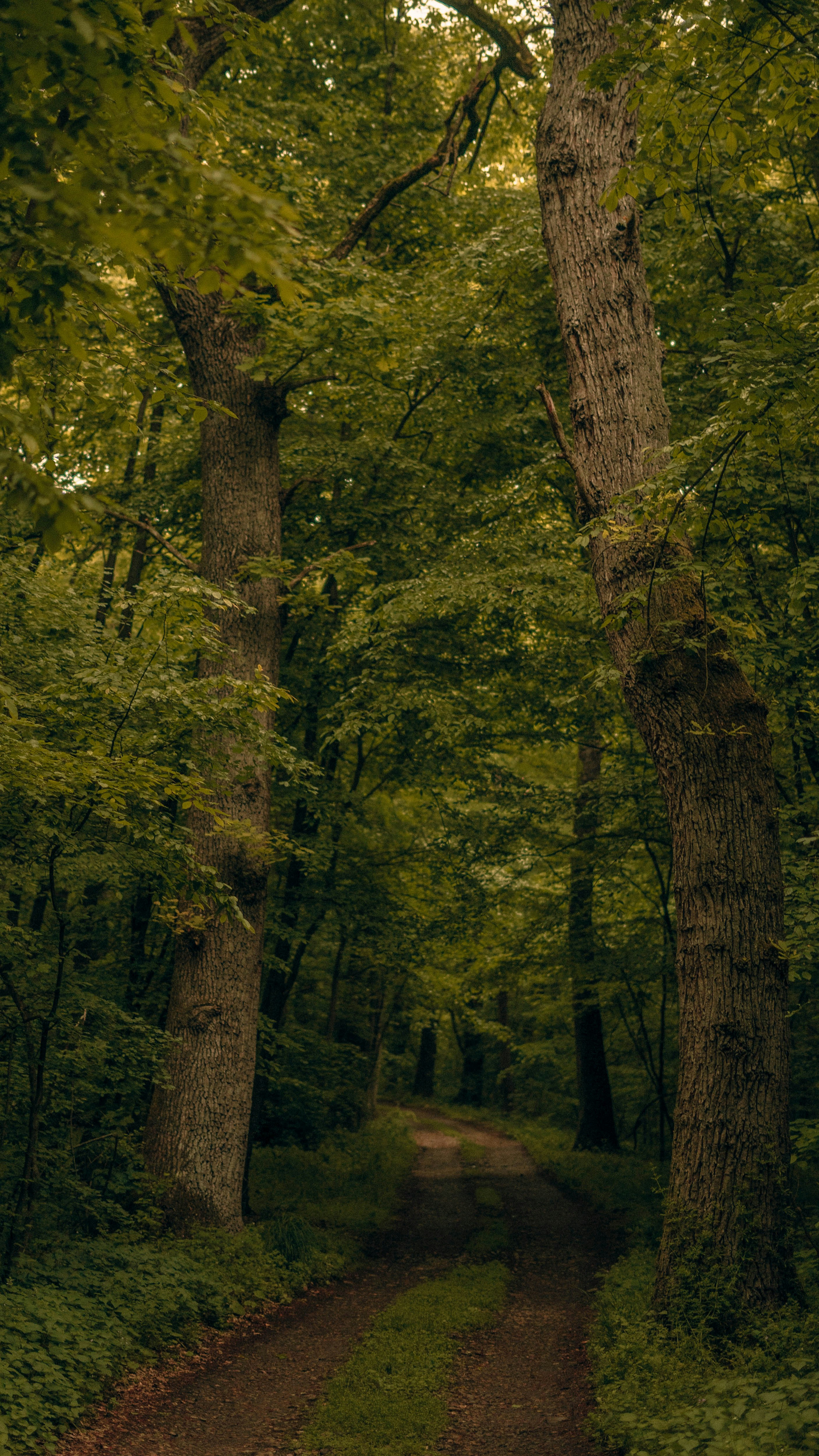 Photo by davesvisuals