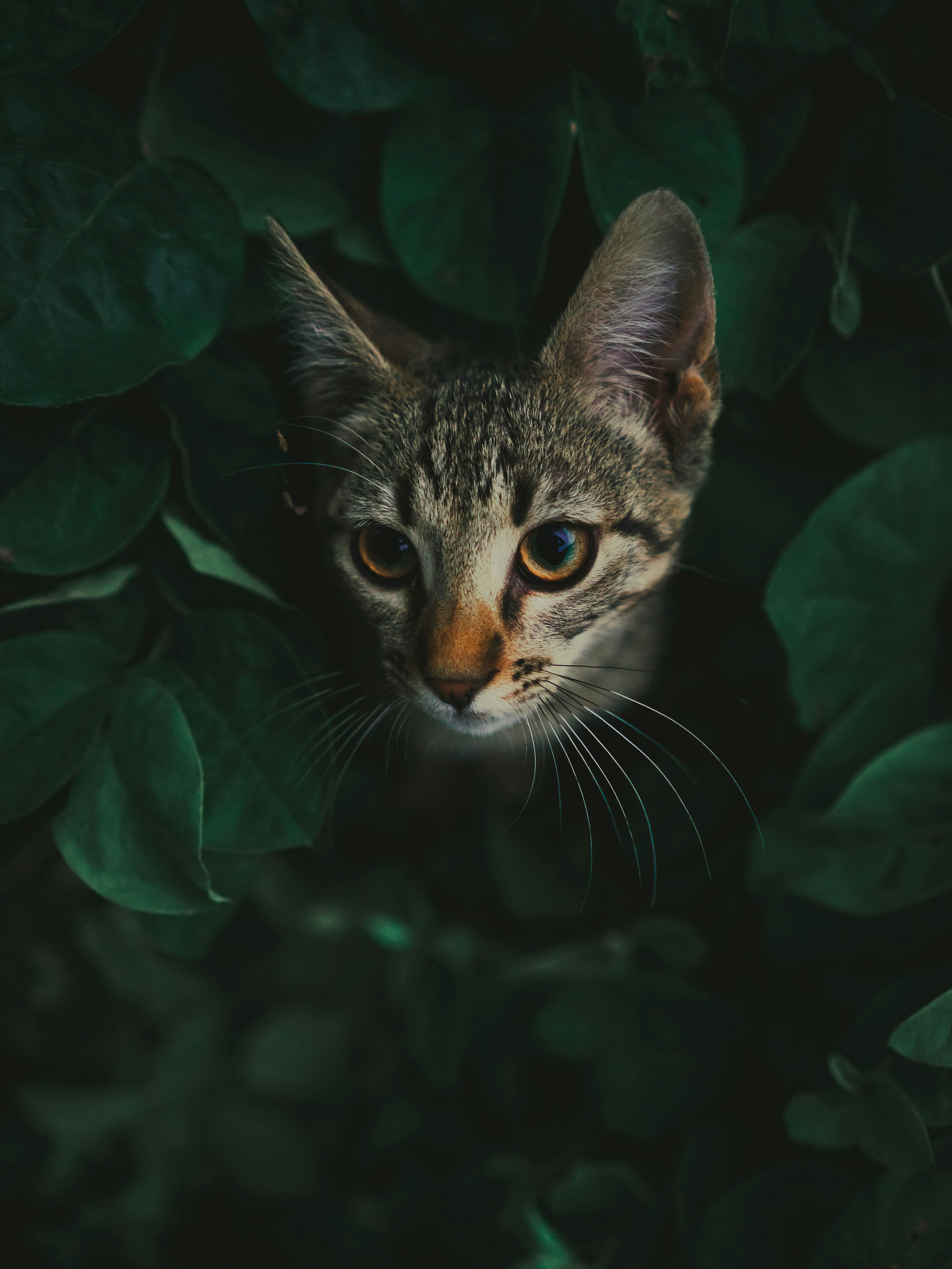 Photo by davesvisuals