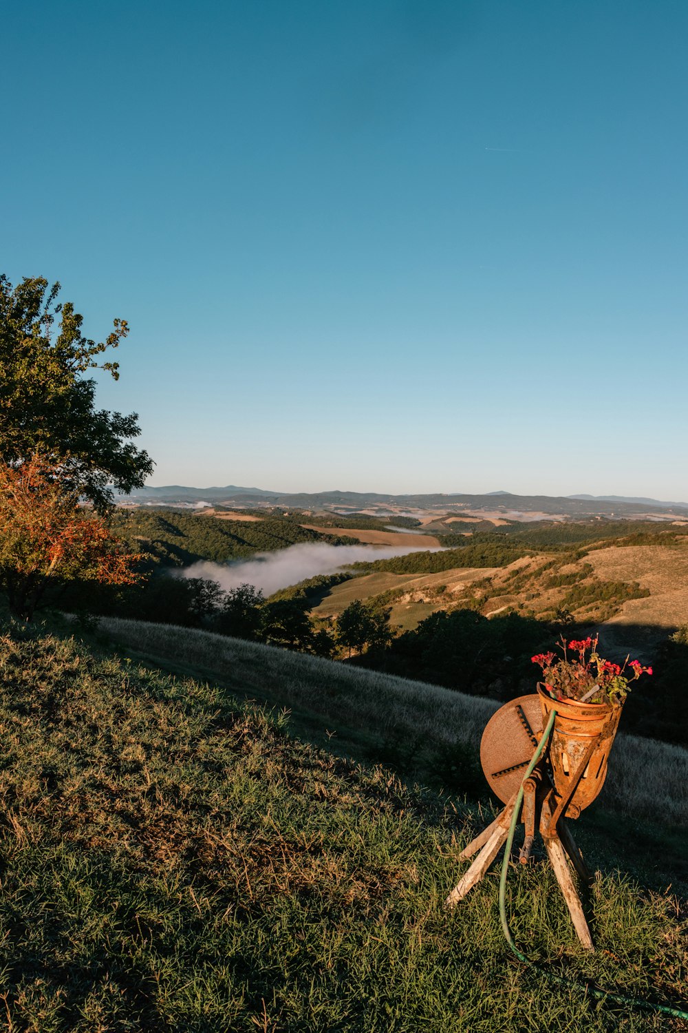 a basket on a hill