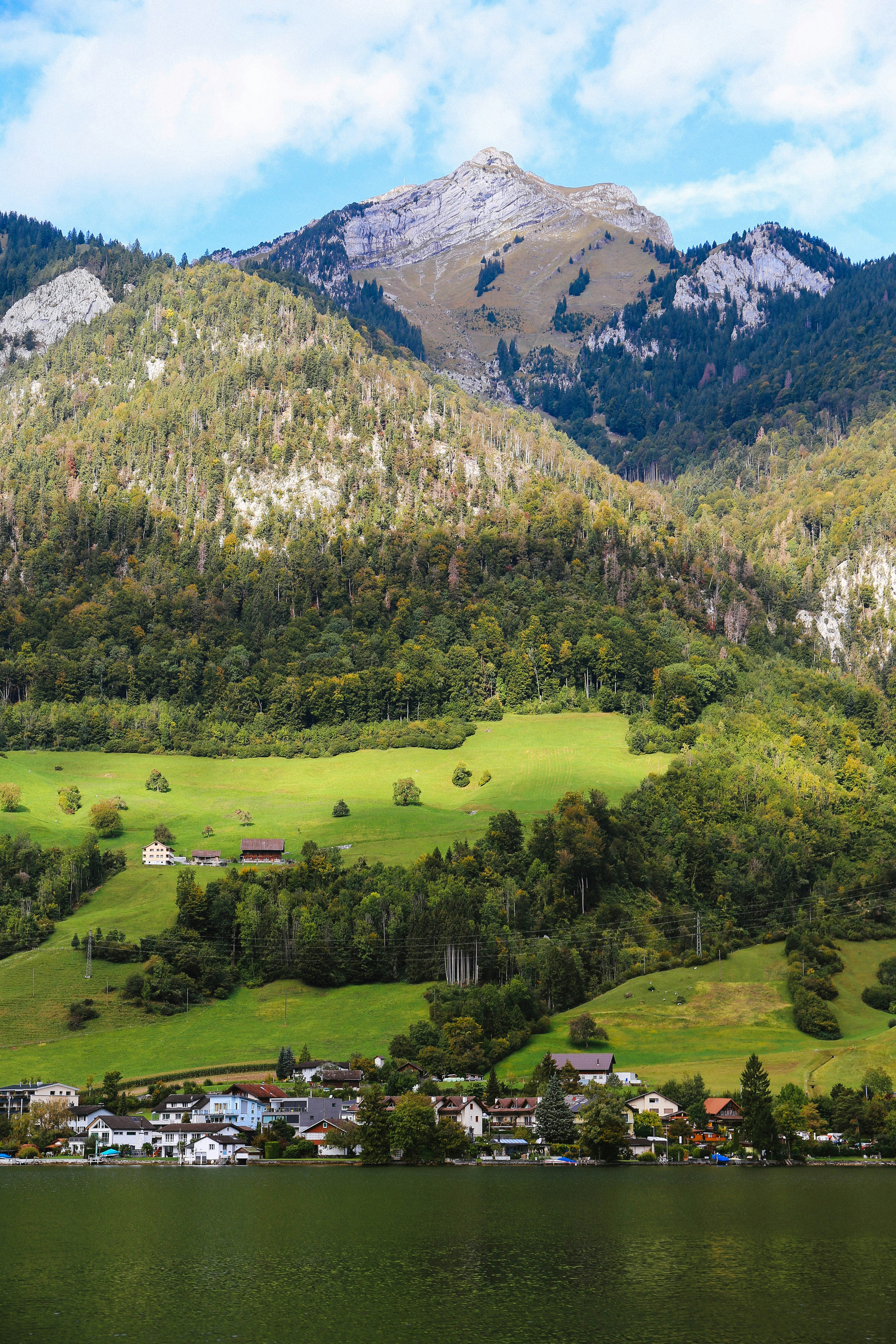 Photo by tommaomaoer