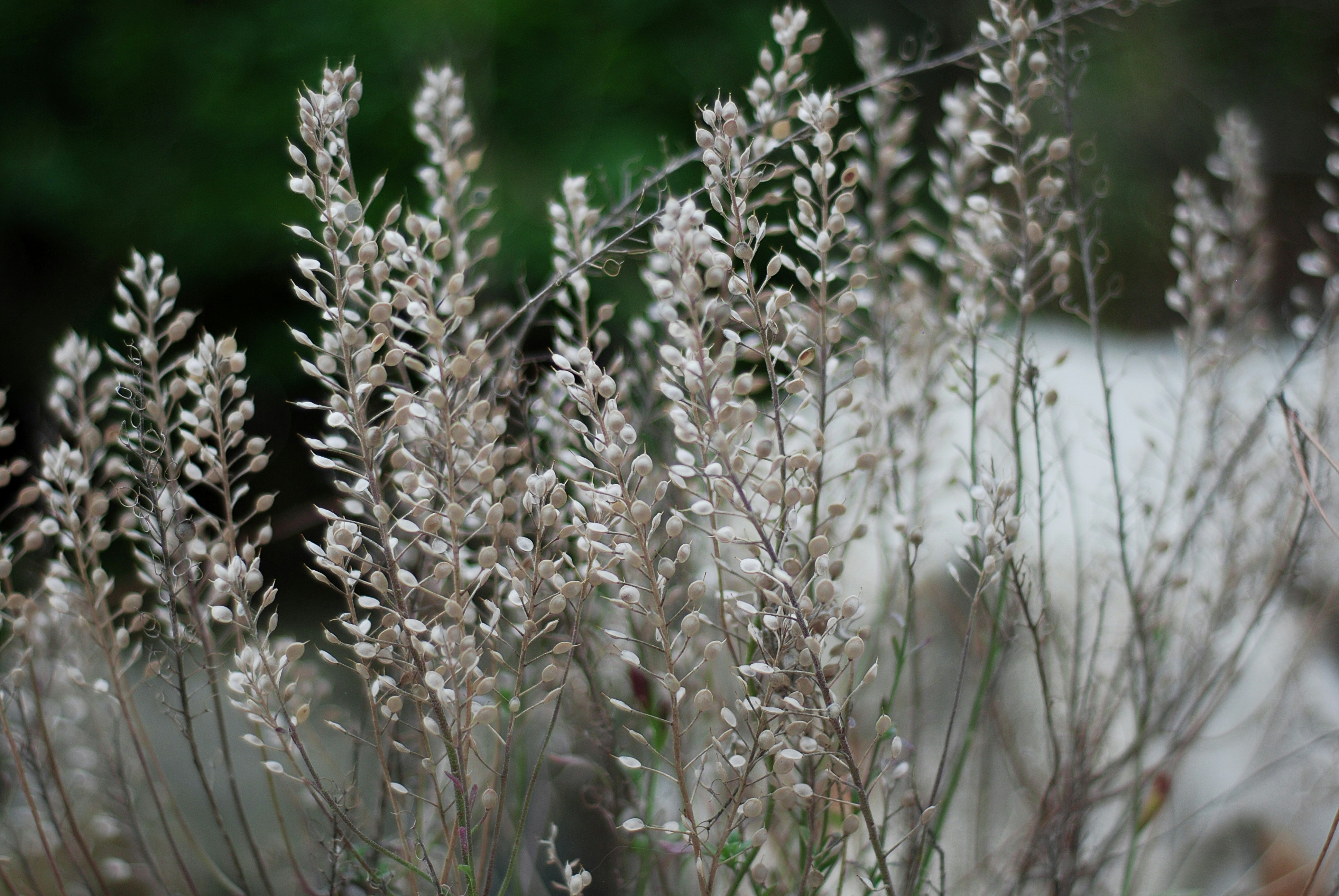 Photo by kovalskihelga