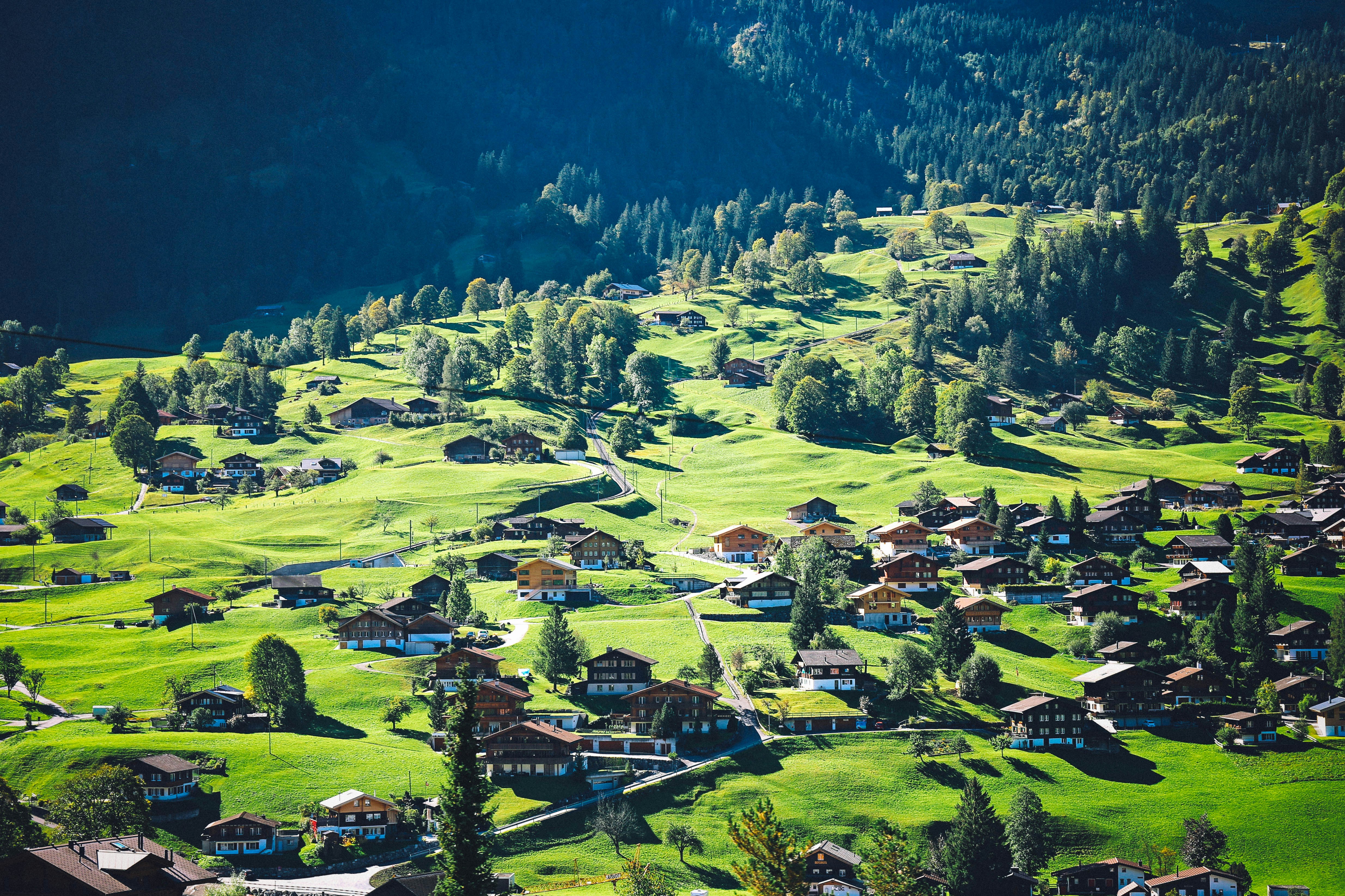 Photo by tommaomaoer