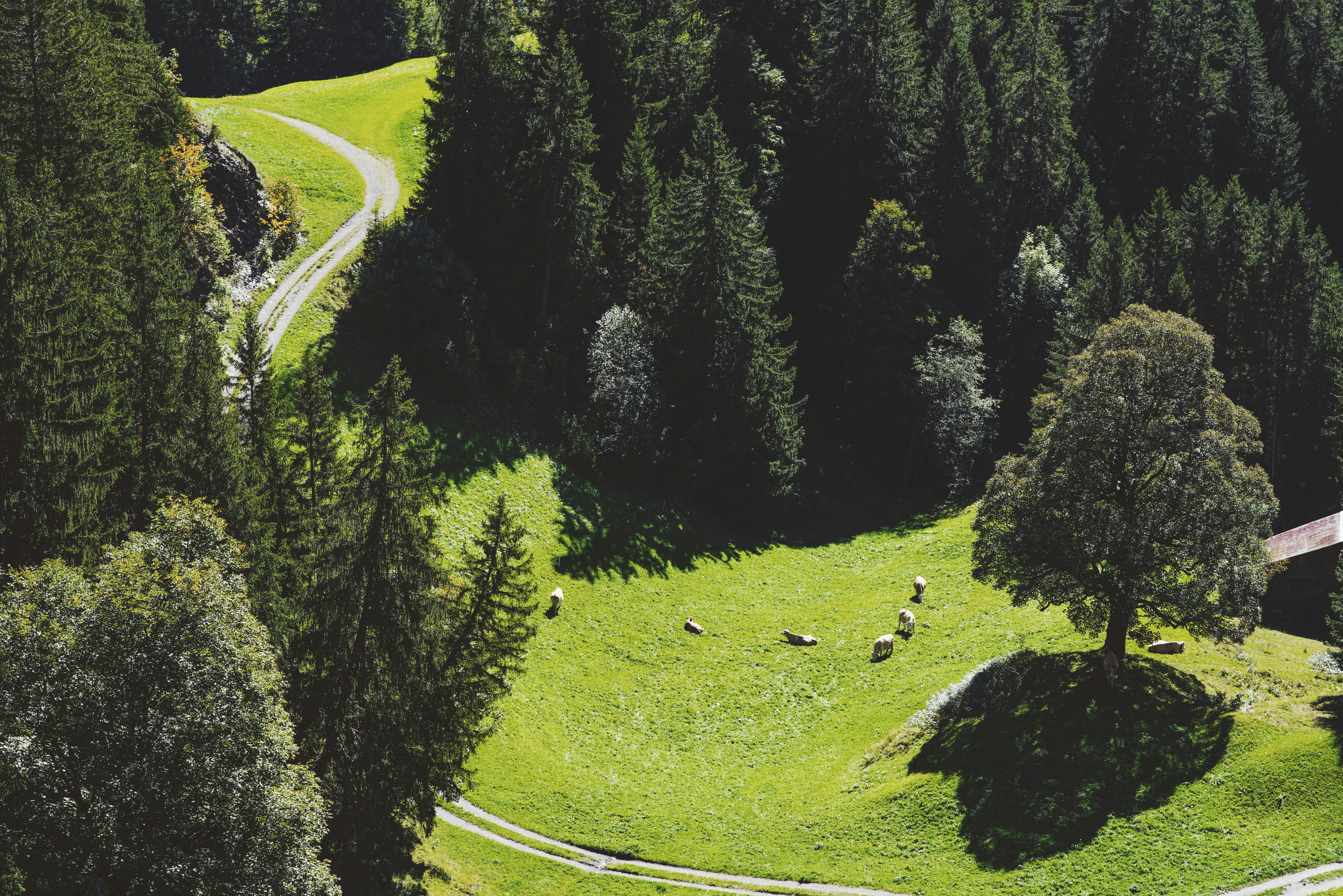 Photo by tommaomaoer