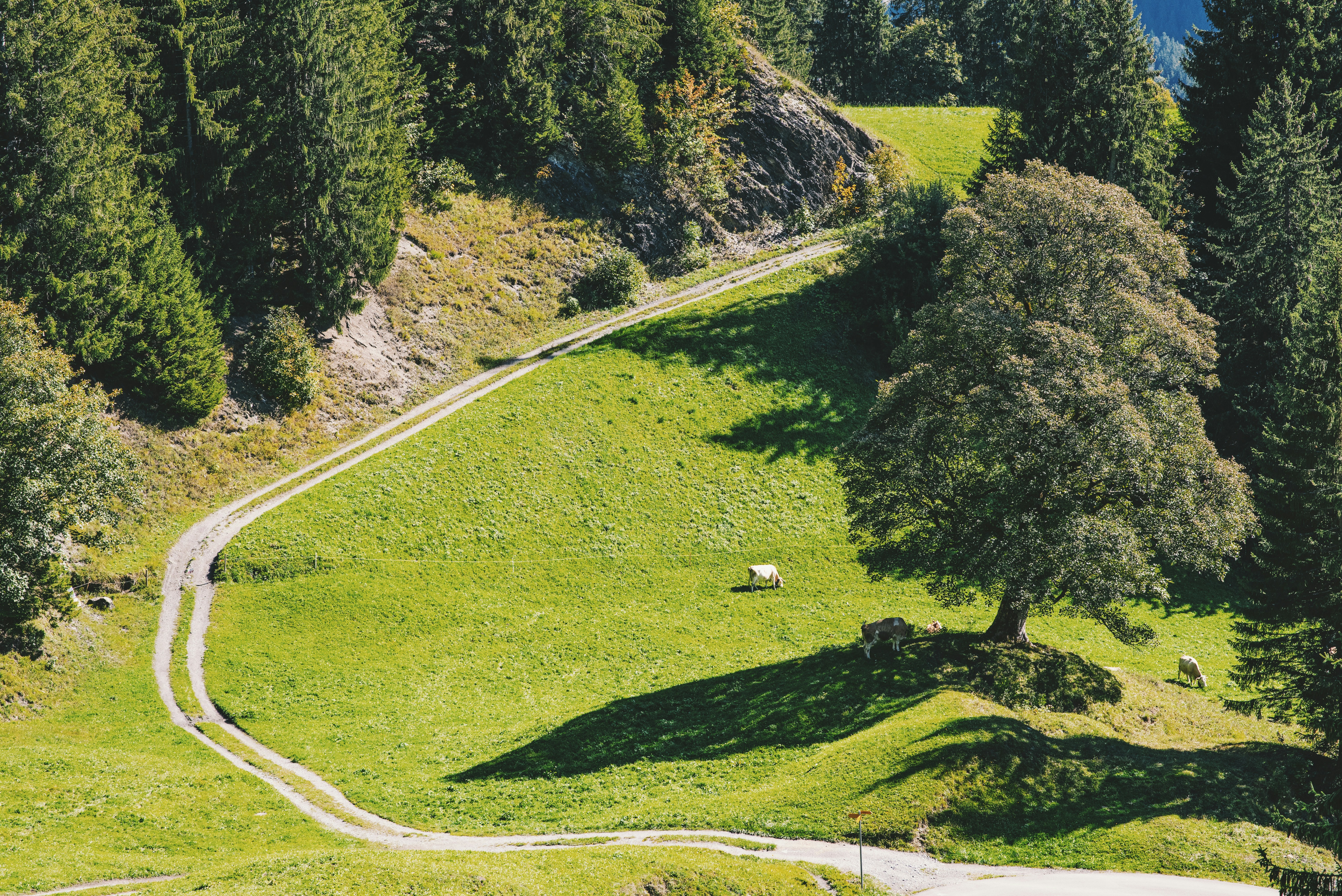 Photo by tommaomaoer