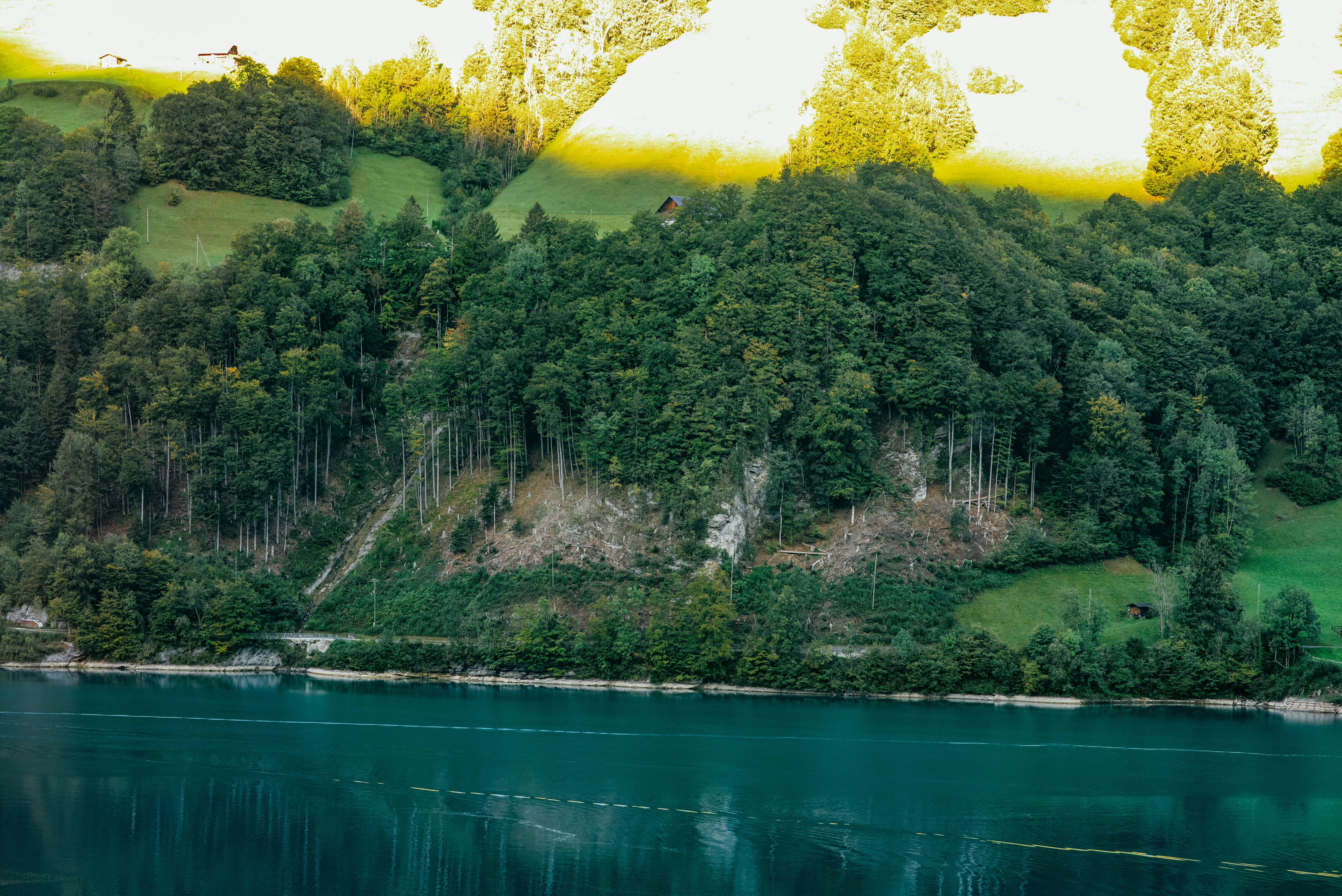 Photo by tommaomaoer