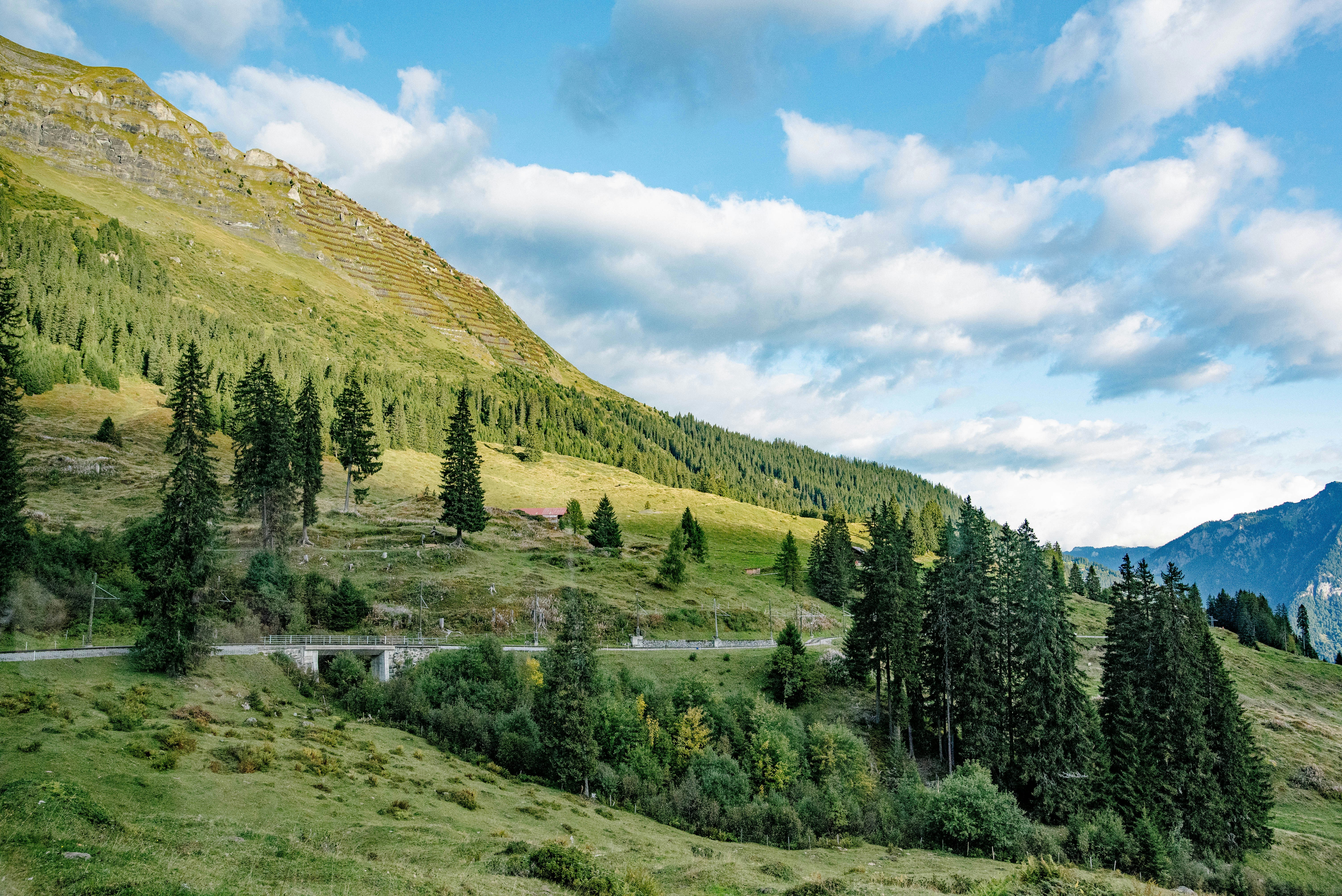 Photo by tommaomaoer