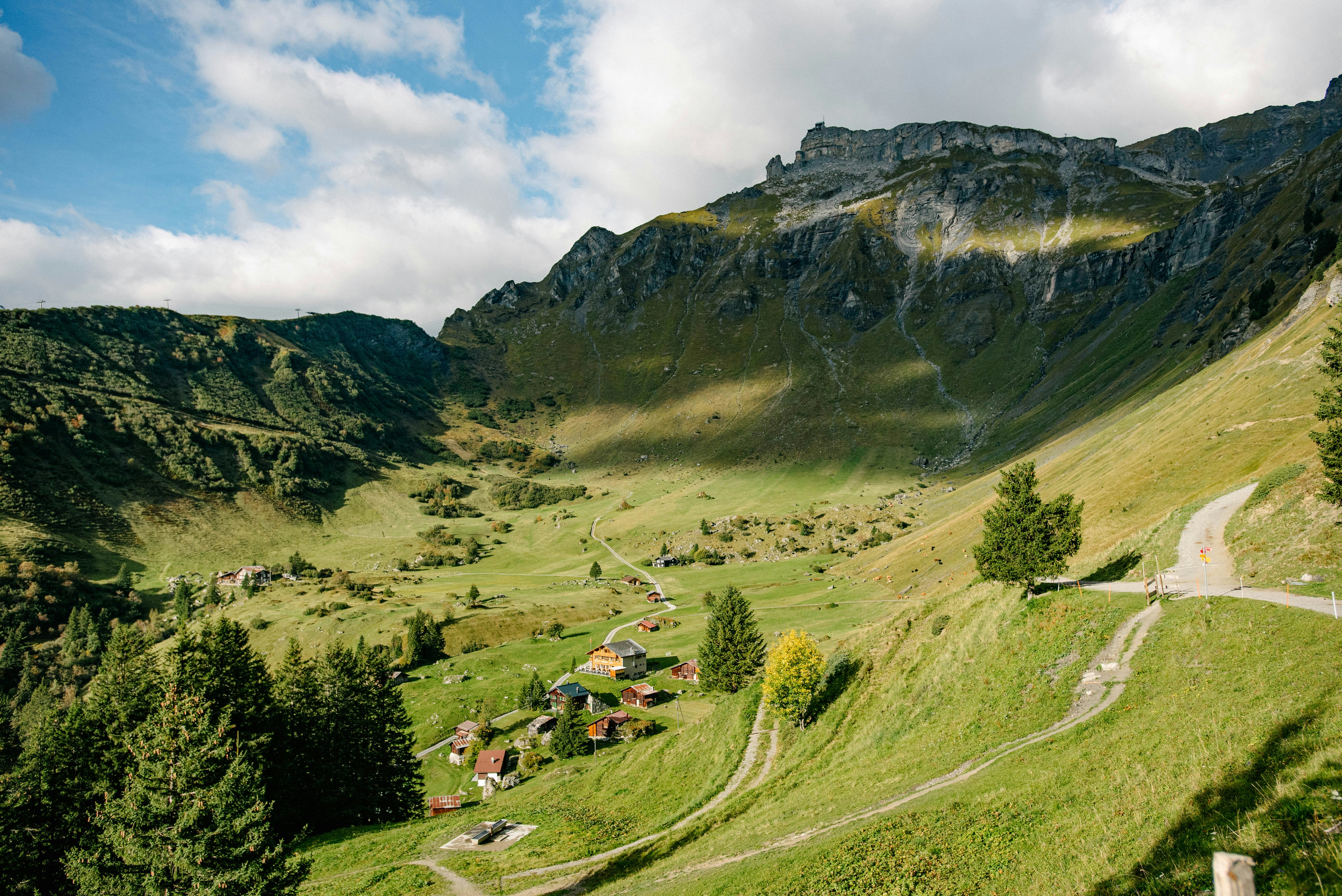 Photo by tommaomaoer