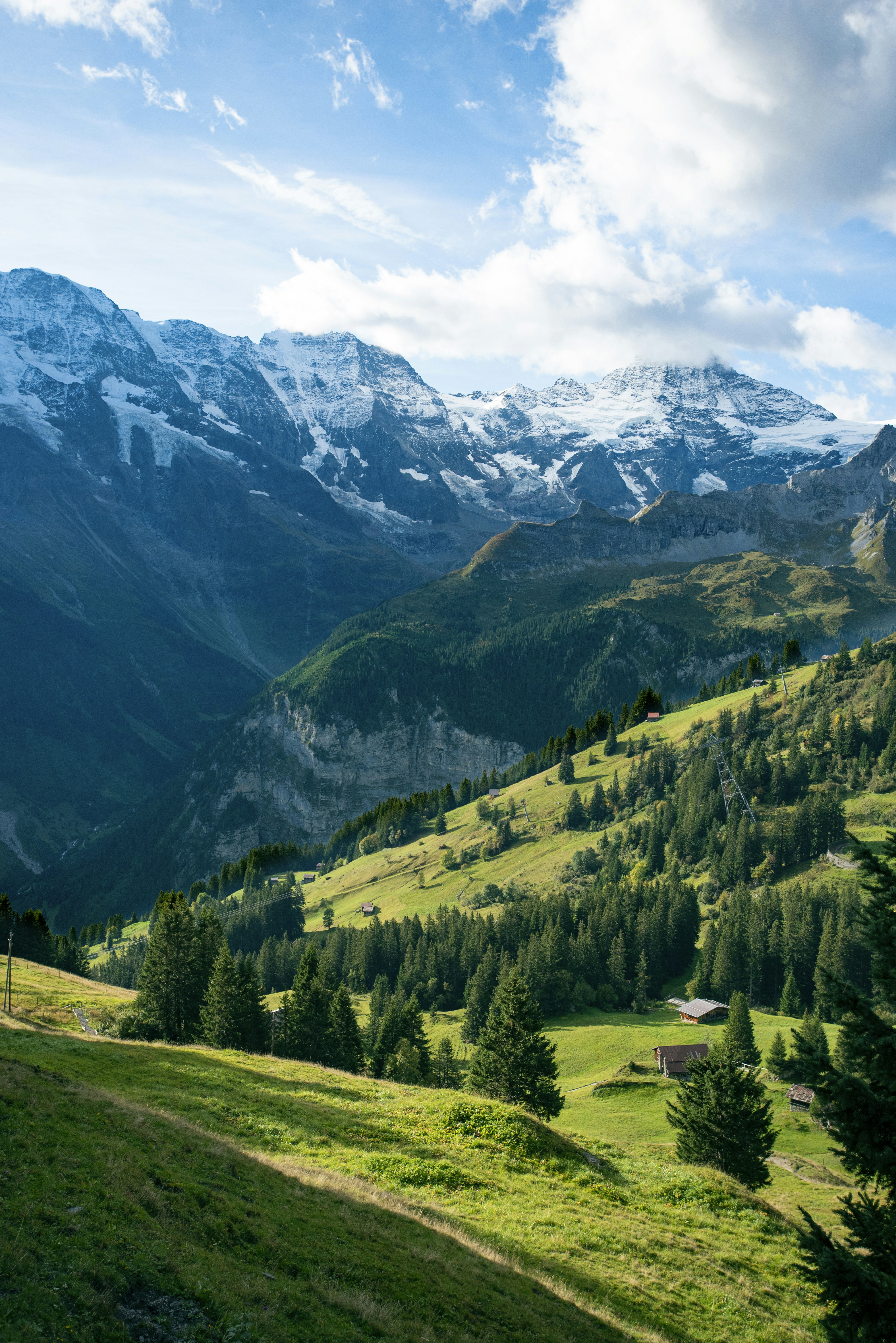 Photo by tommaomaoer