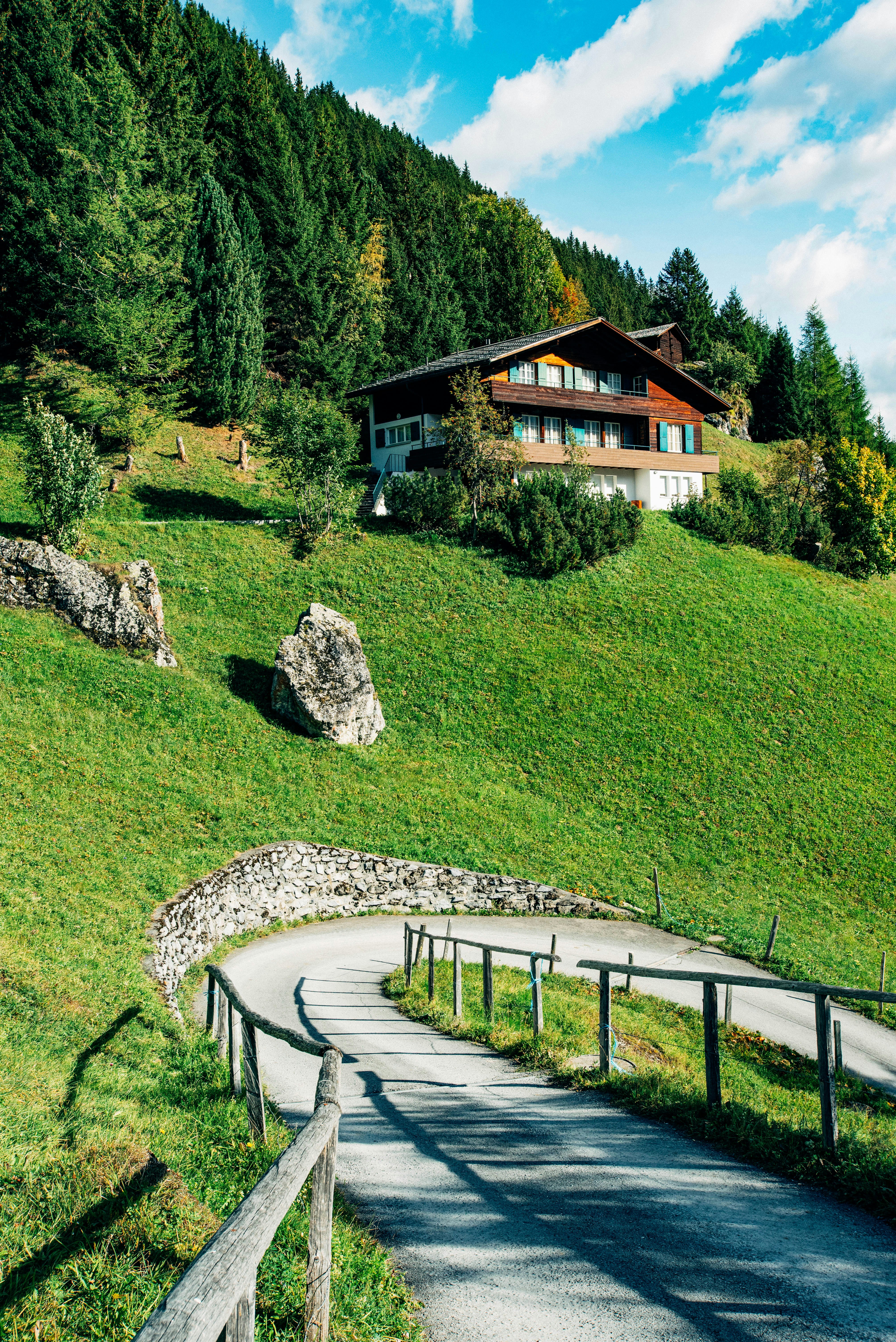 Photo by tommaomaoer