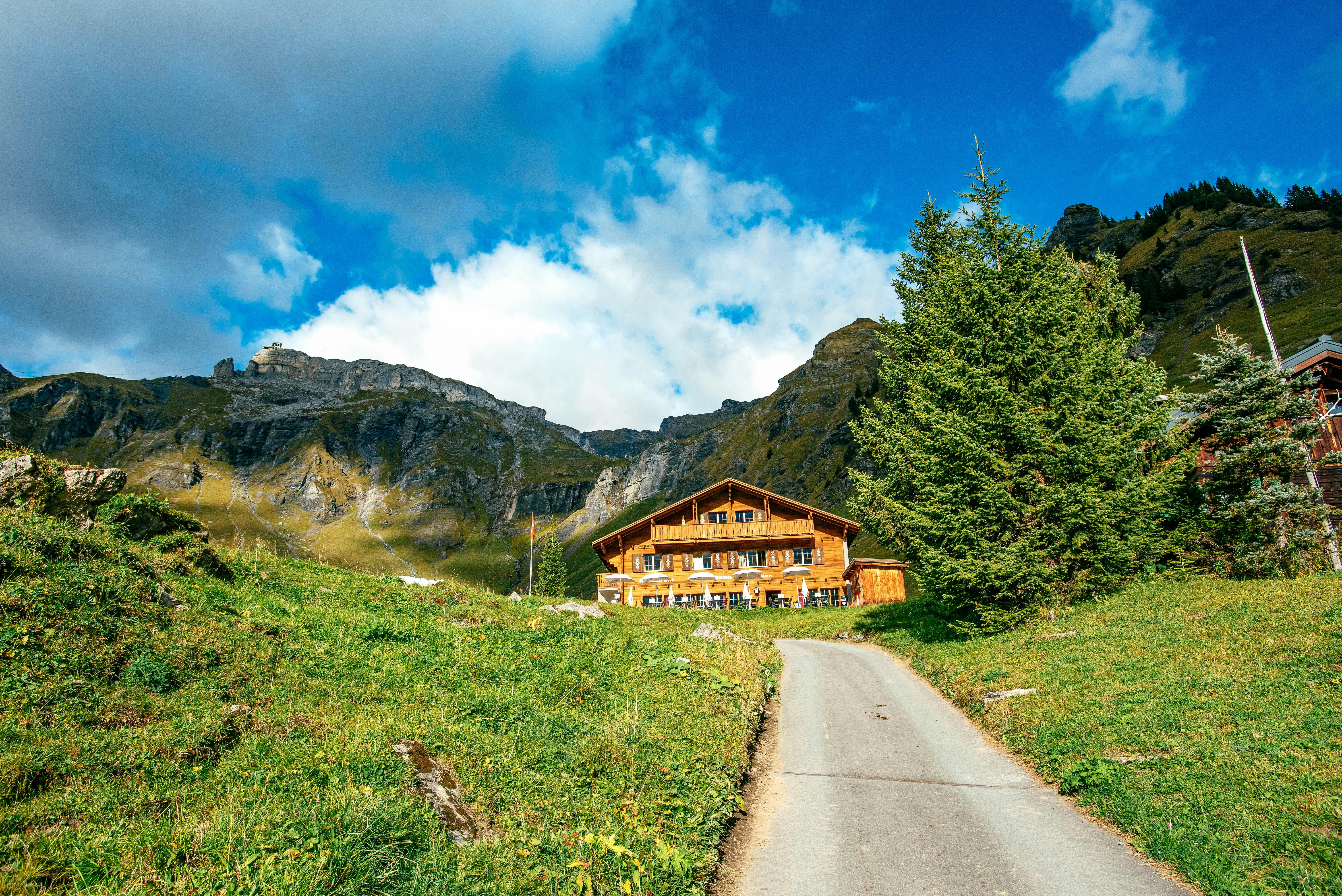 Photo by tommaomaoer